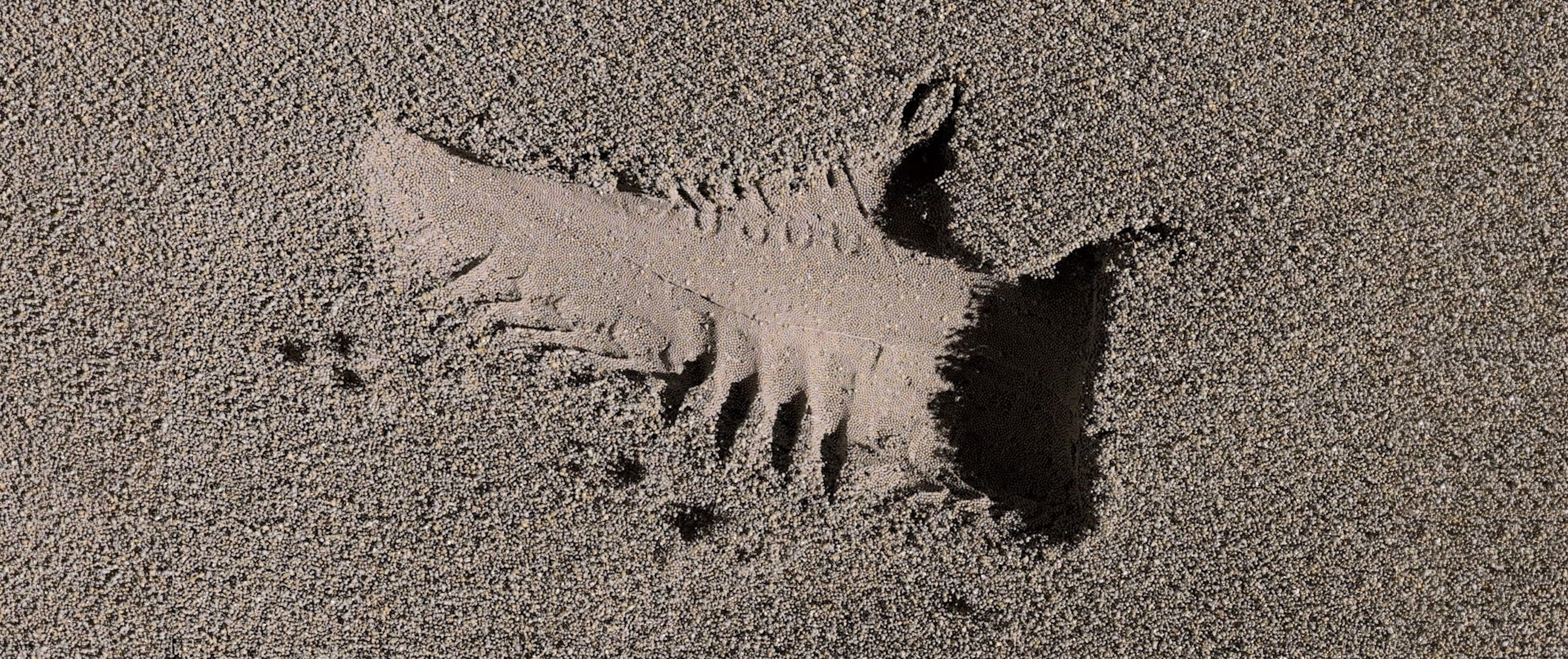 Anti Studio for Nike, Space Hippie