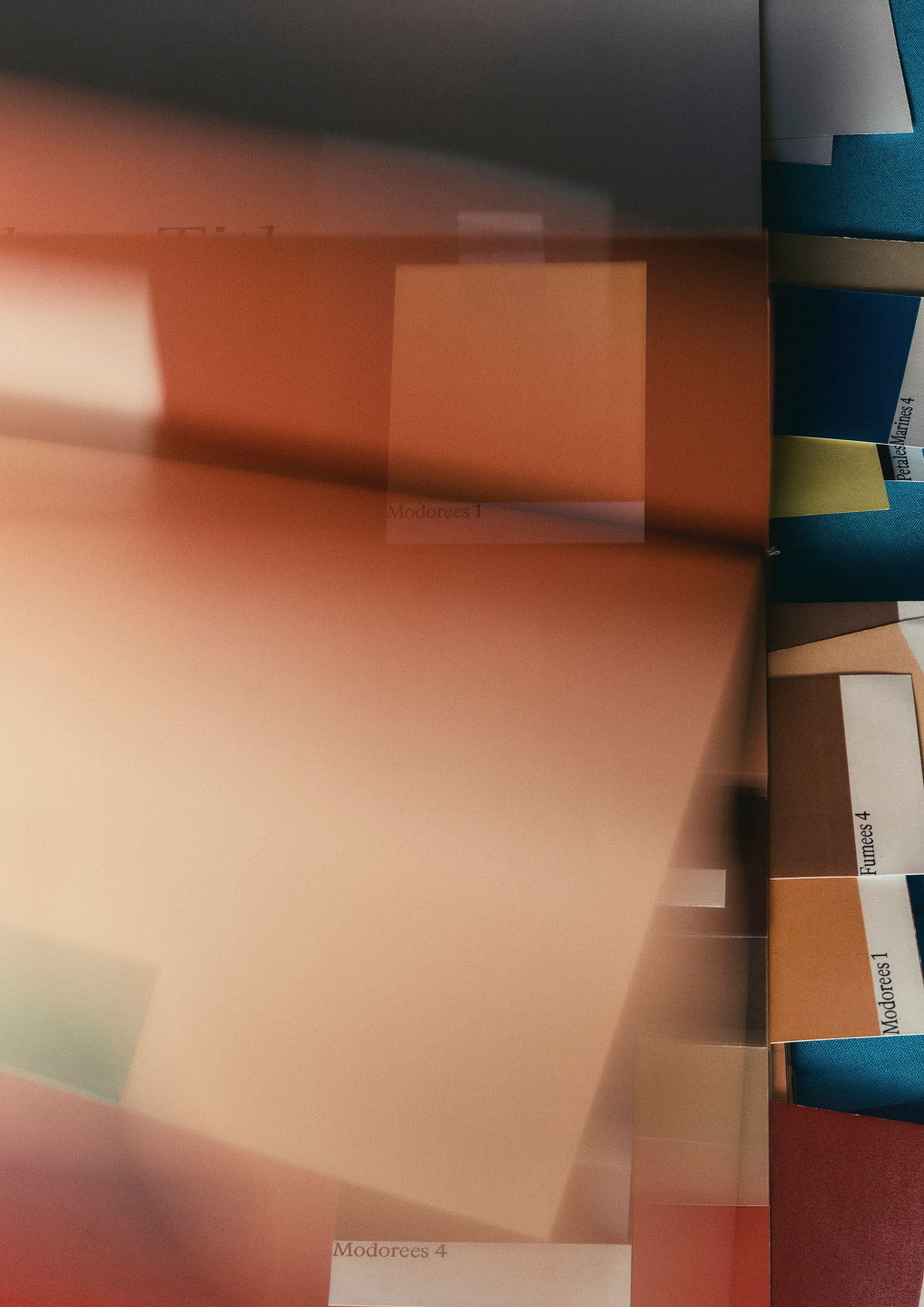 Qiu Yang, Veronica Ditting Studio