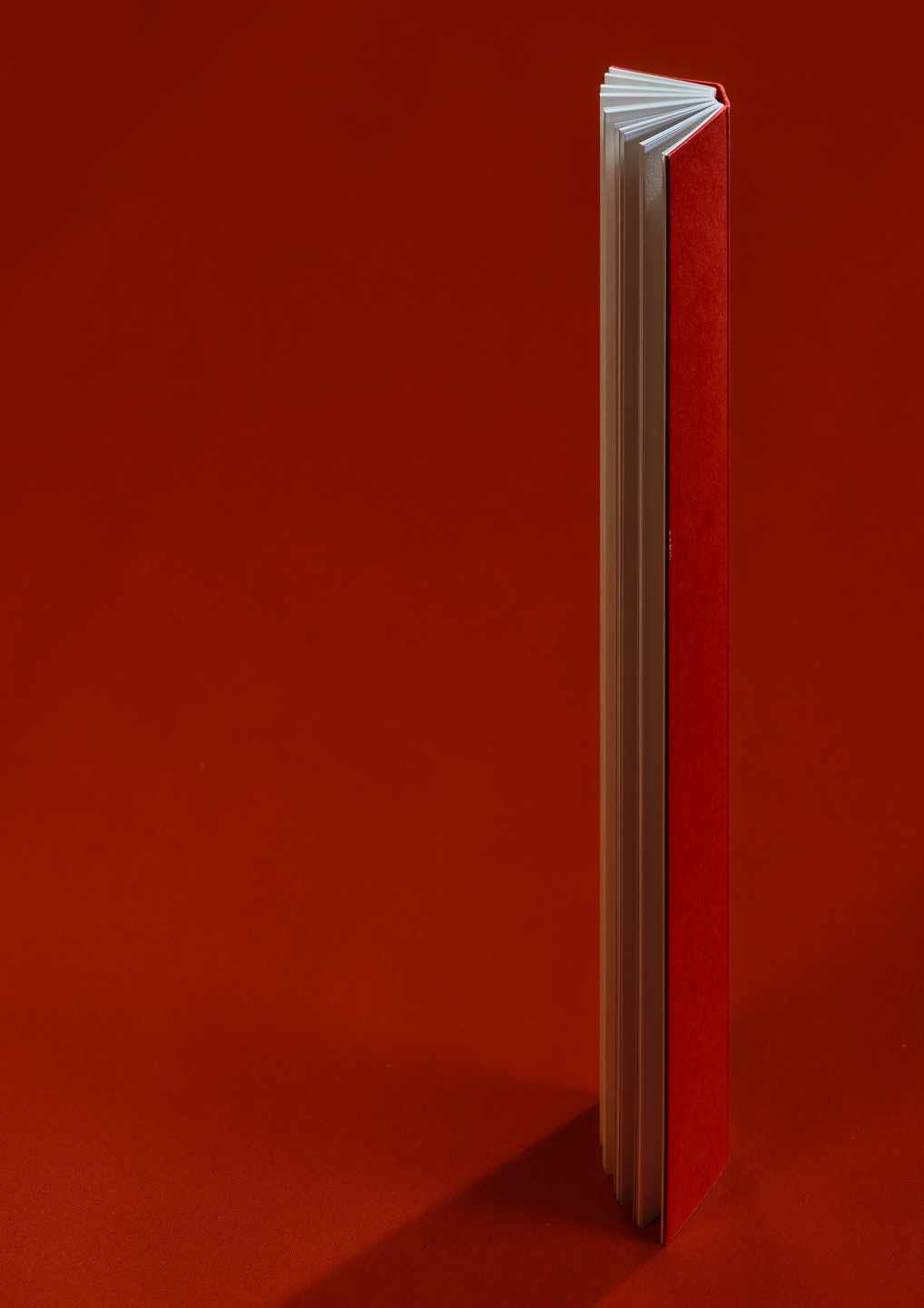 Qiu Yang, Veronica Ditting Studio