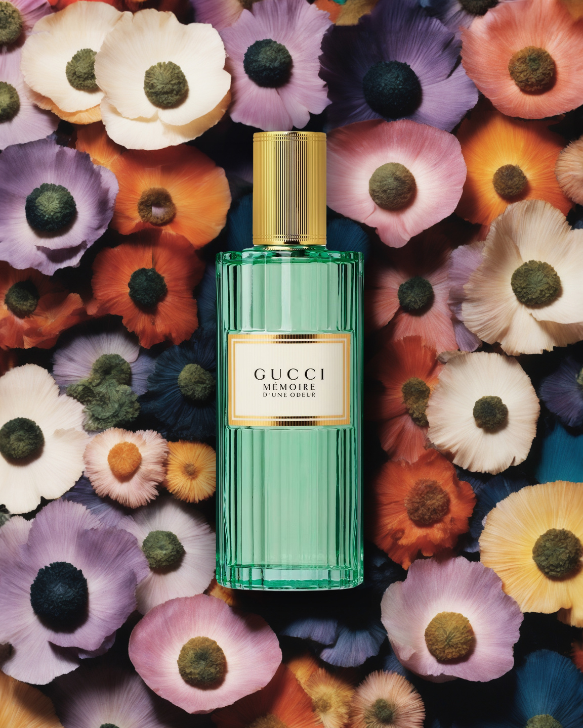 MCAS, Studio Perfumes