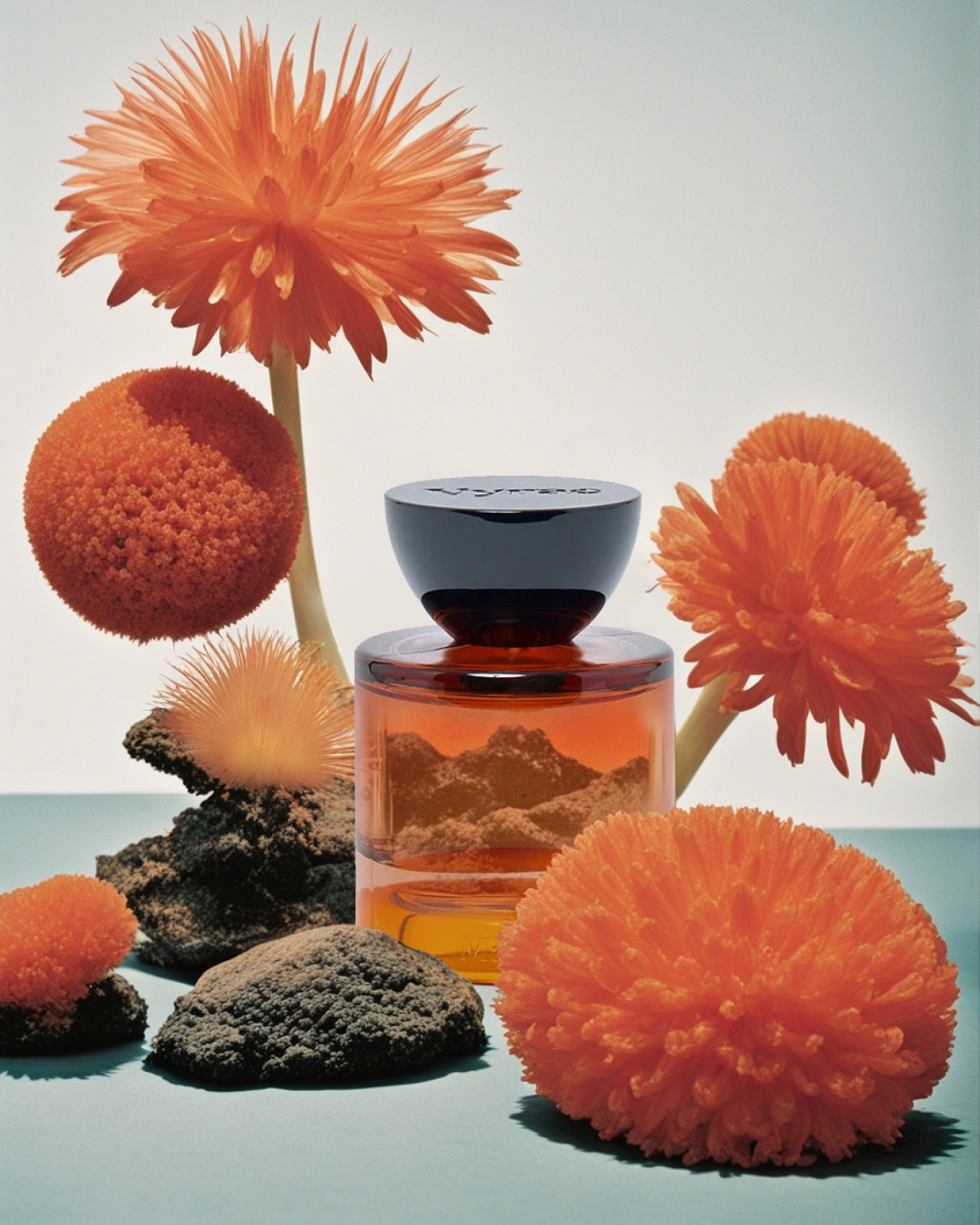 MCAS, Studio Perfumes