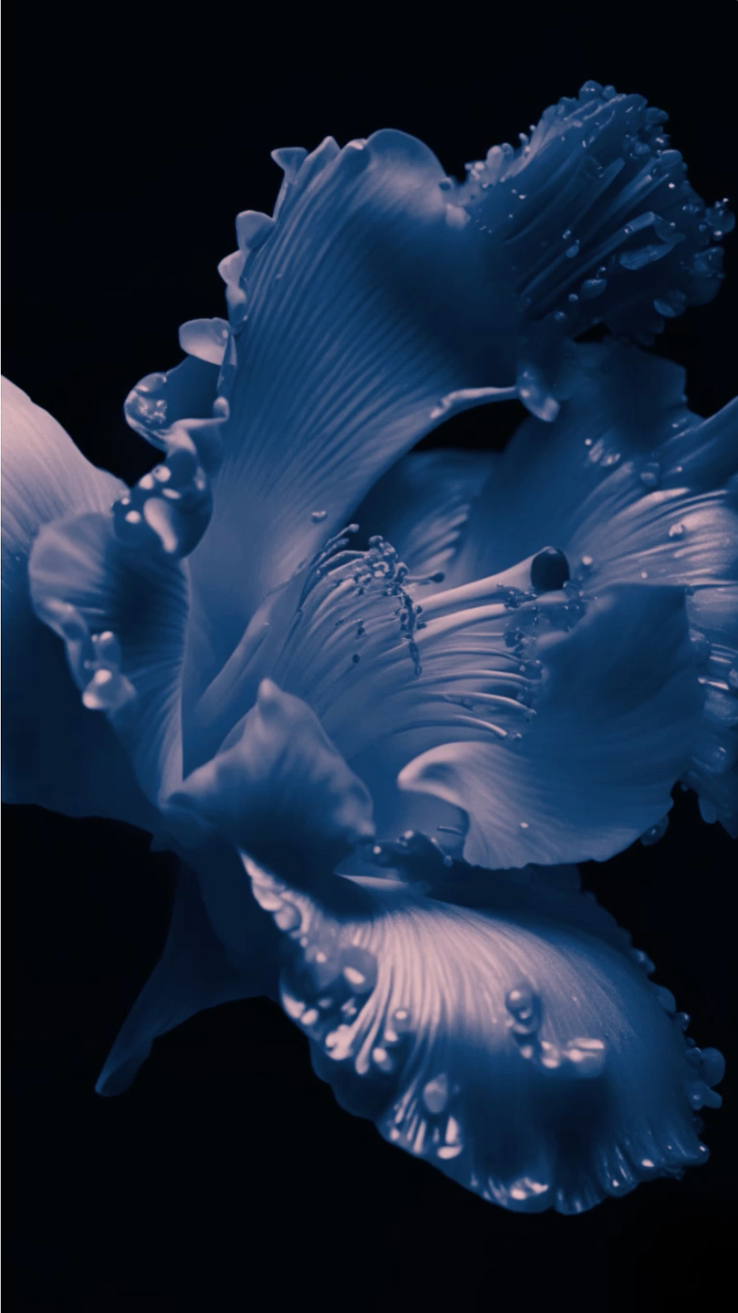 MCAS, The Flowers Lab