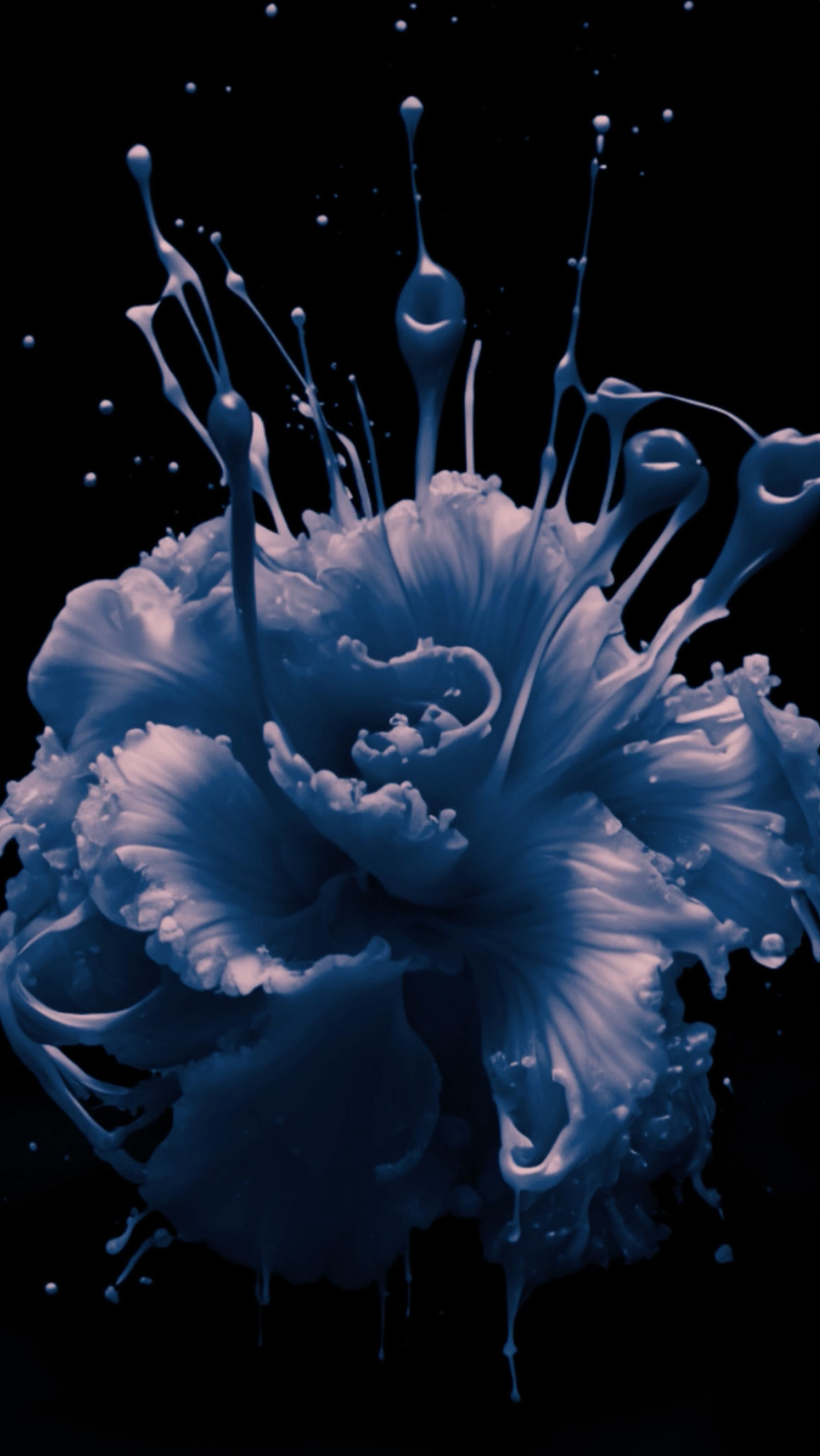 MCAS, The Flowers Lab