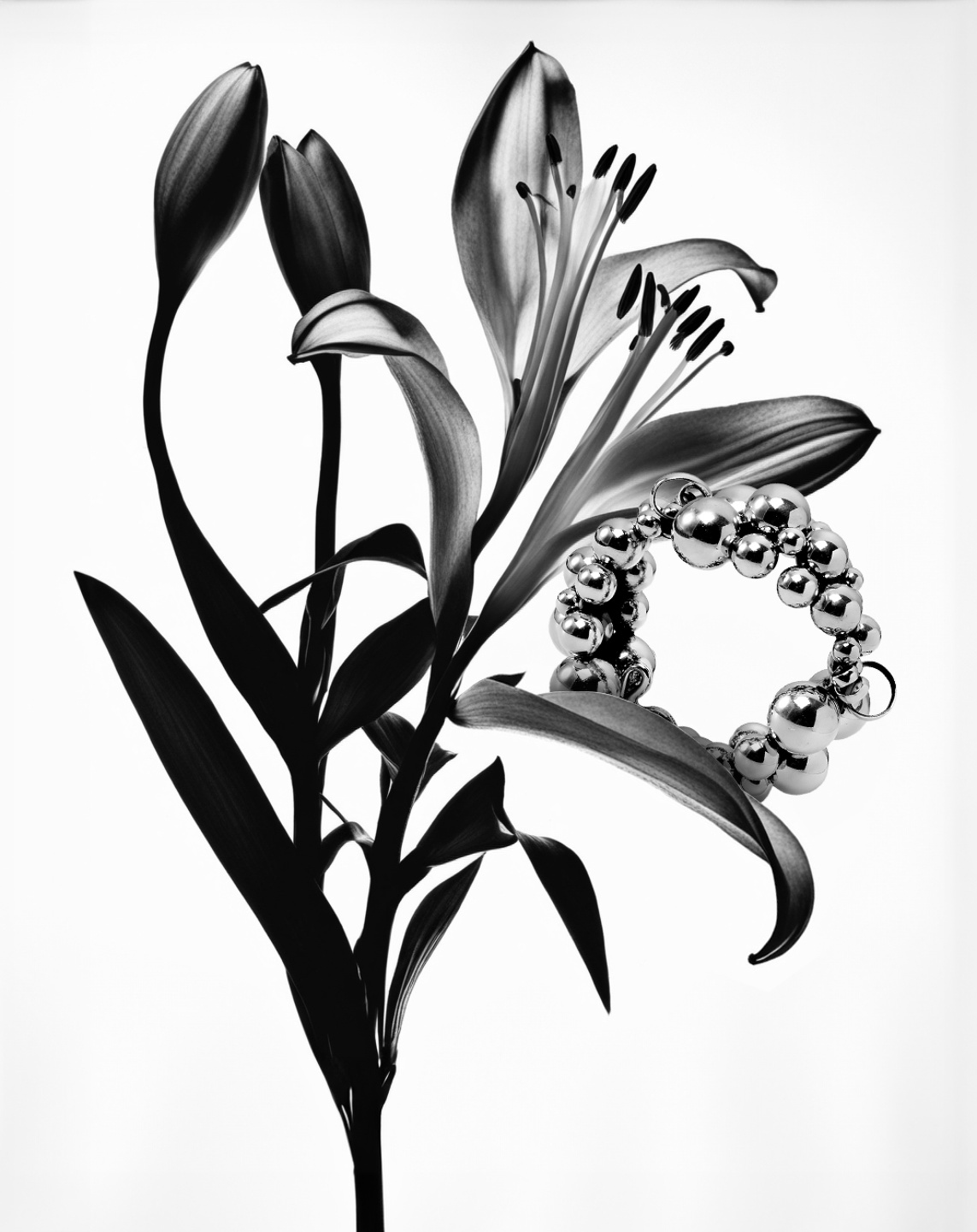 MCAS, B&W Jewellery