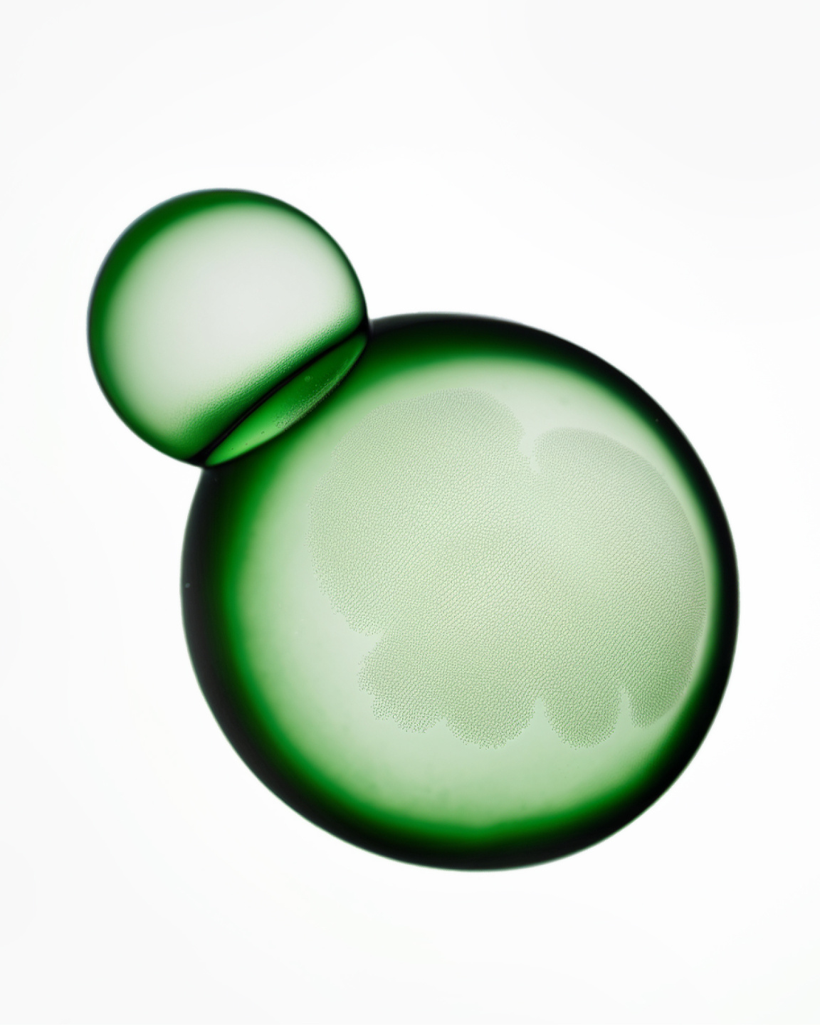 MCAS, Now Representing MCAS