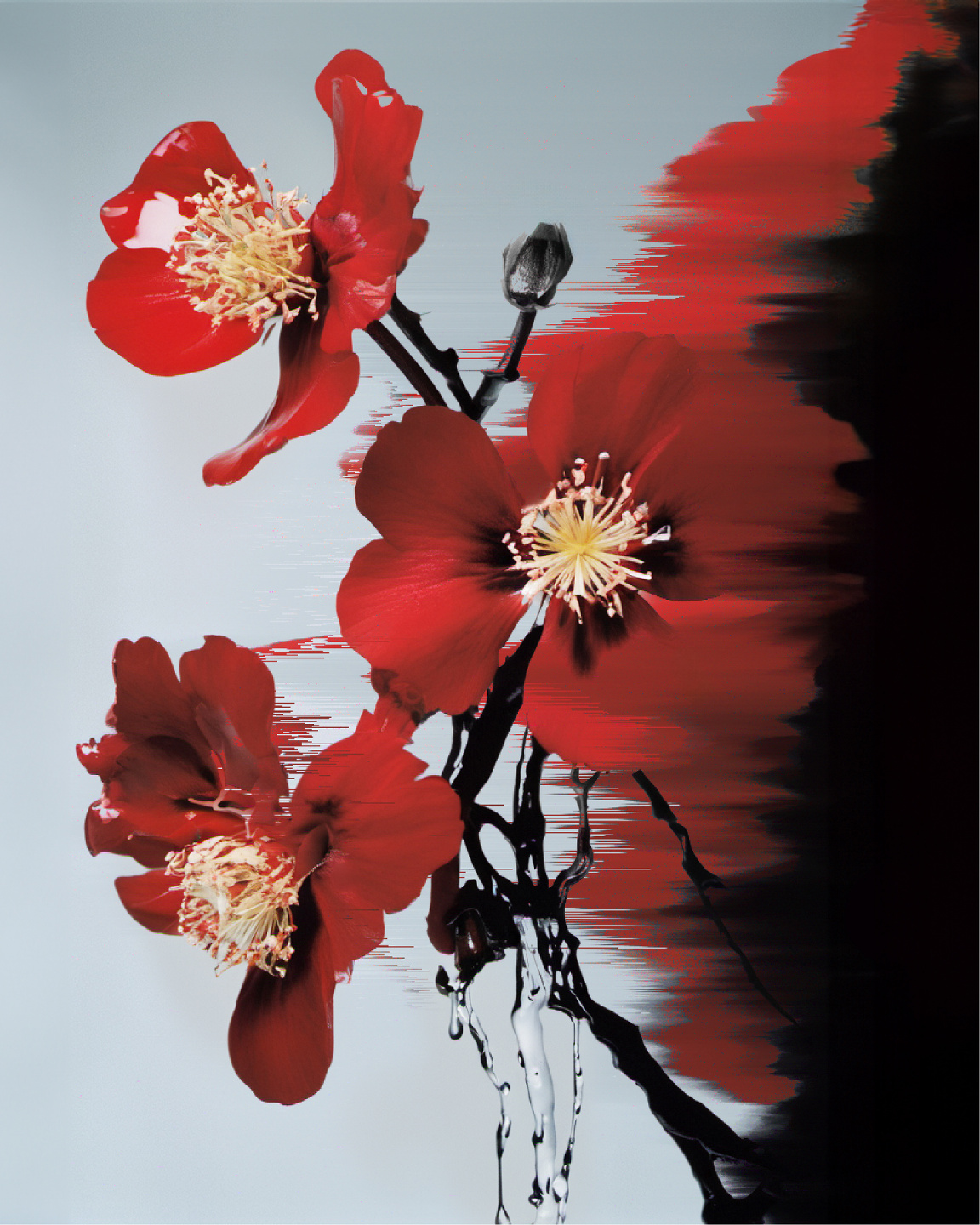 MCAS, Now Representing MCAS