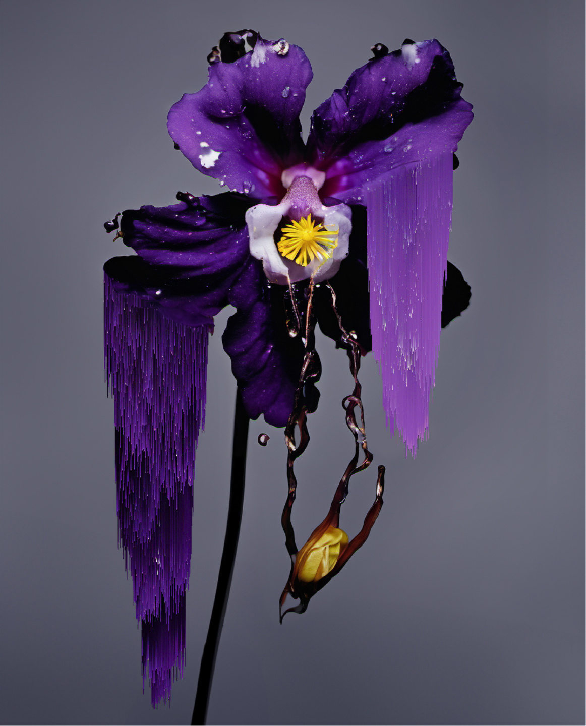 MCAS, Now Representing MCAS