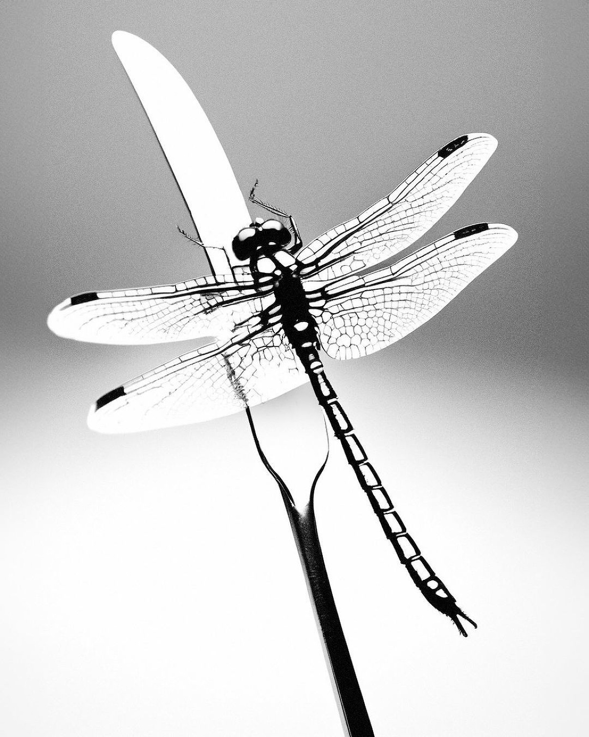 MCAS, Now Representing MCAS