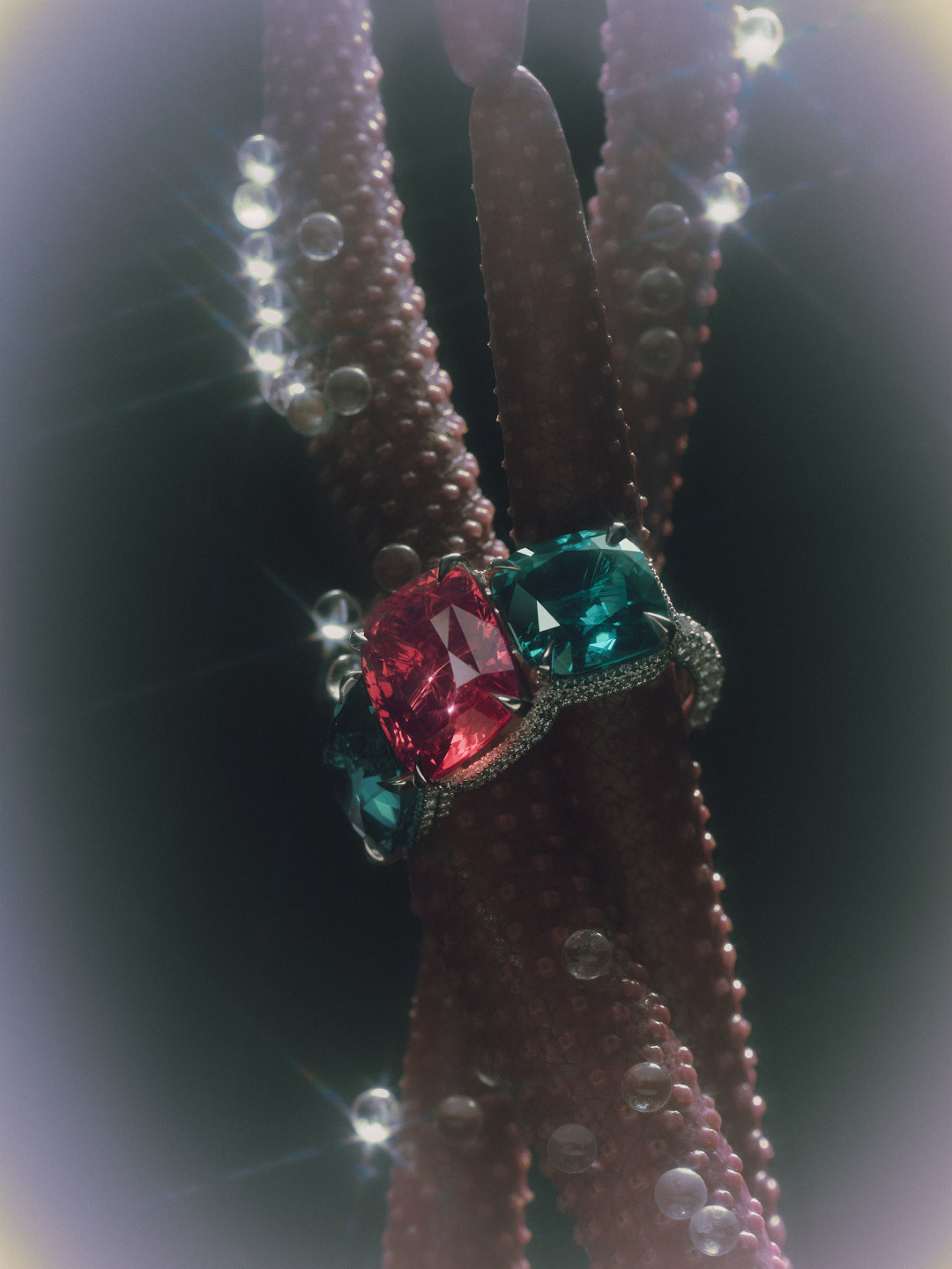 Qiu Yang, Bolero Magazine