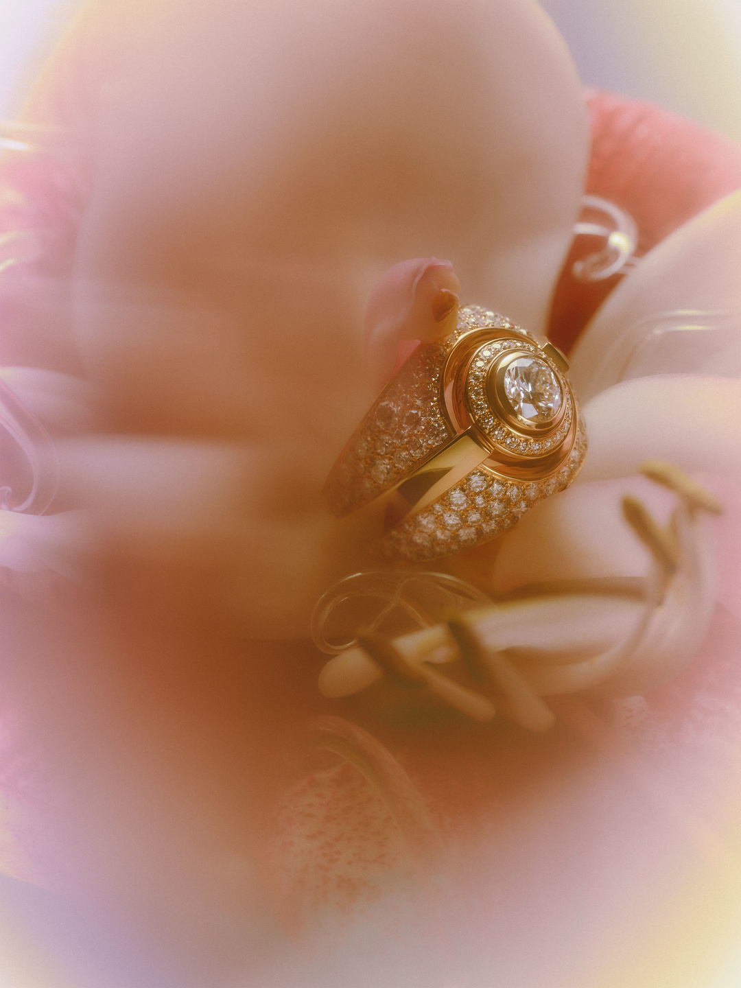 Qiu Yang, Bolero Magazine