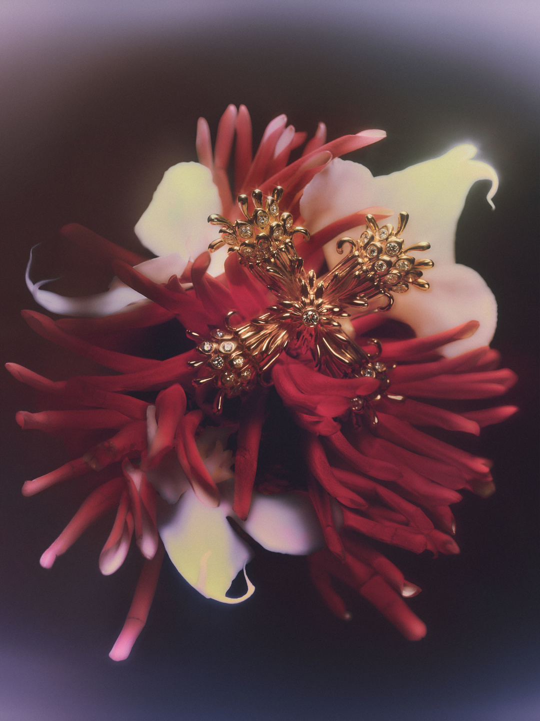 Qiu Yang, Bolero Magazine