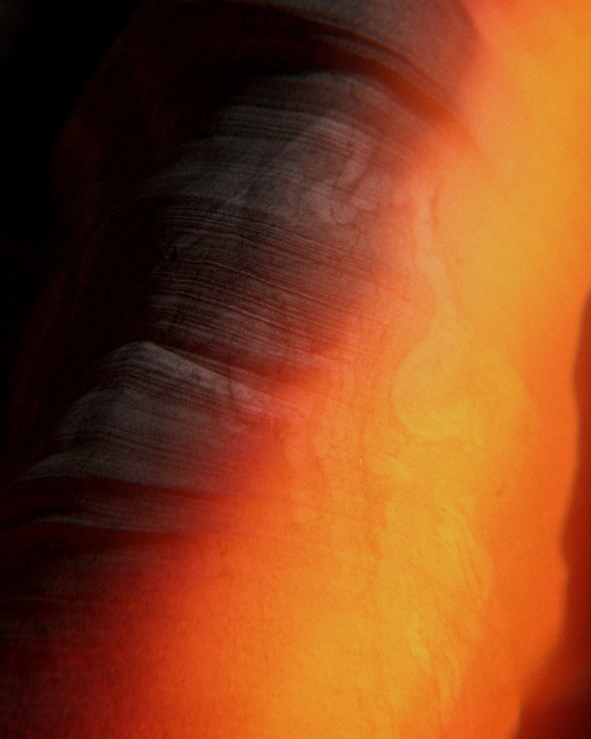 Anti Studio, Ariostea