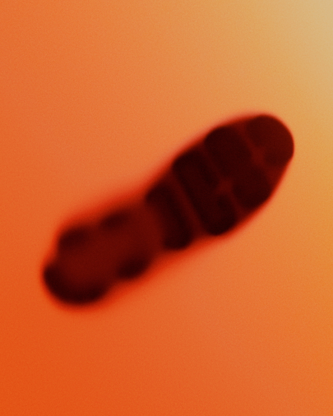 Anti Studio, Ariostea