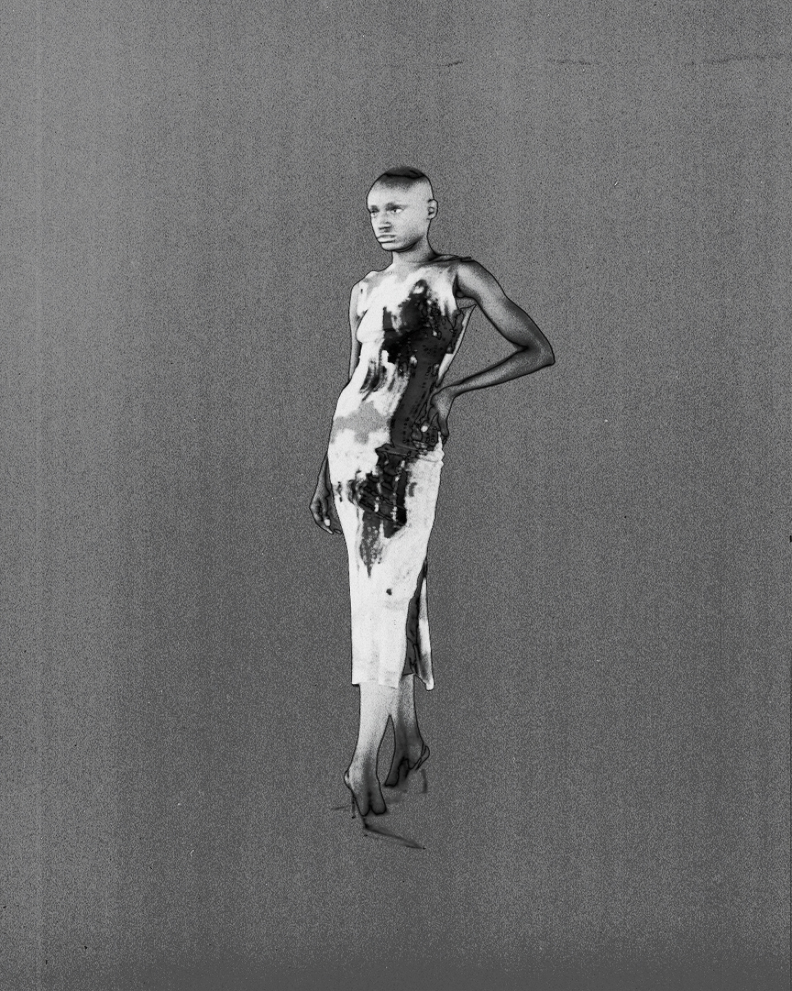 Anti Studio, Evolution