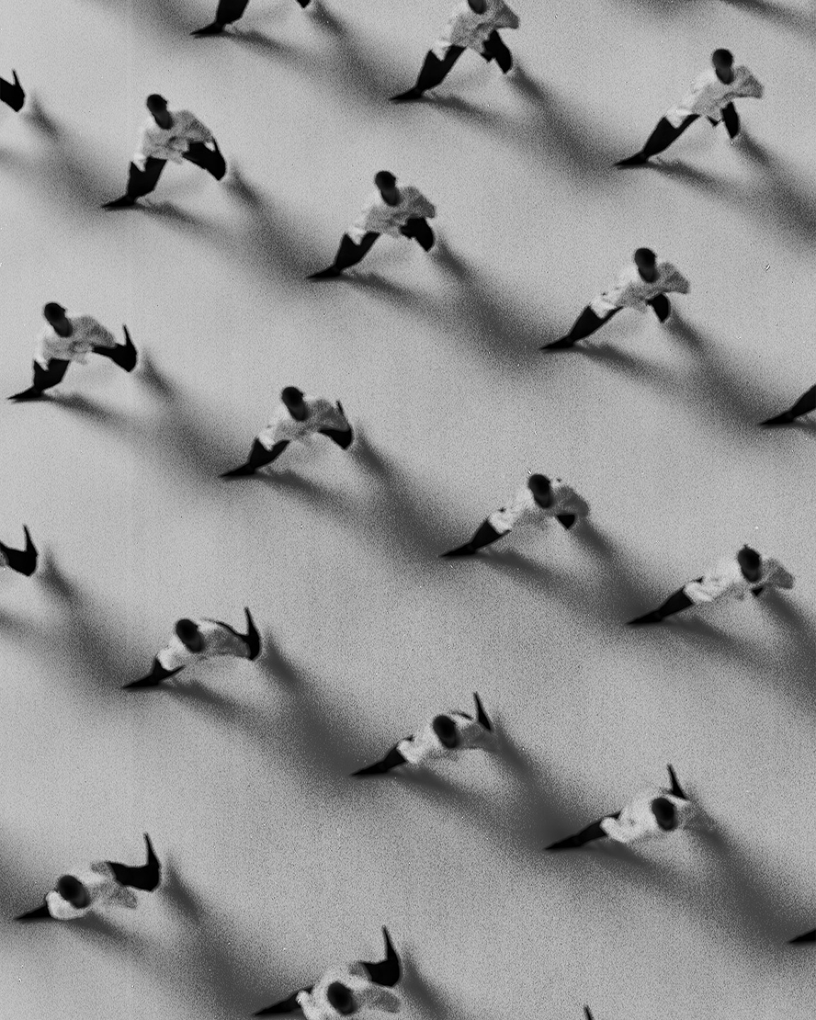 Anti Studio, Evolution