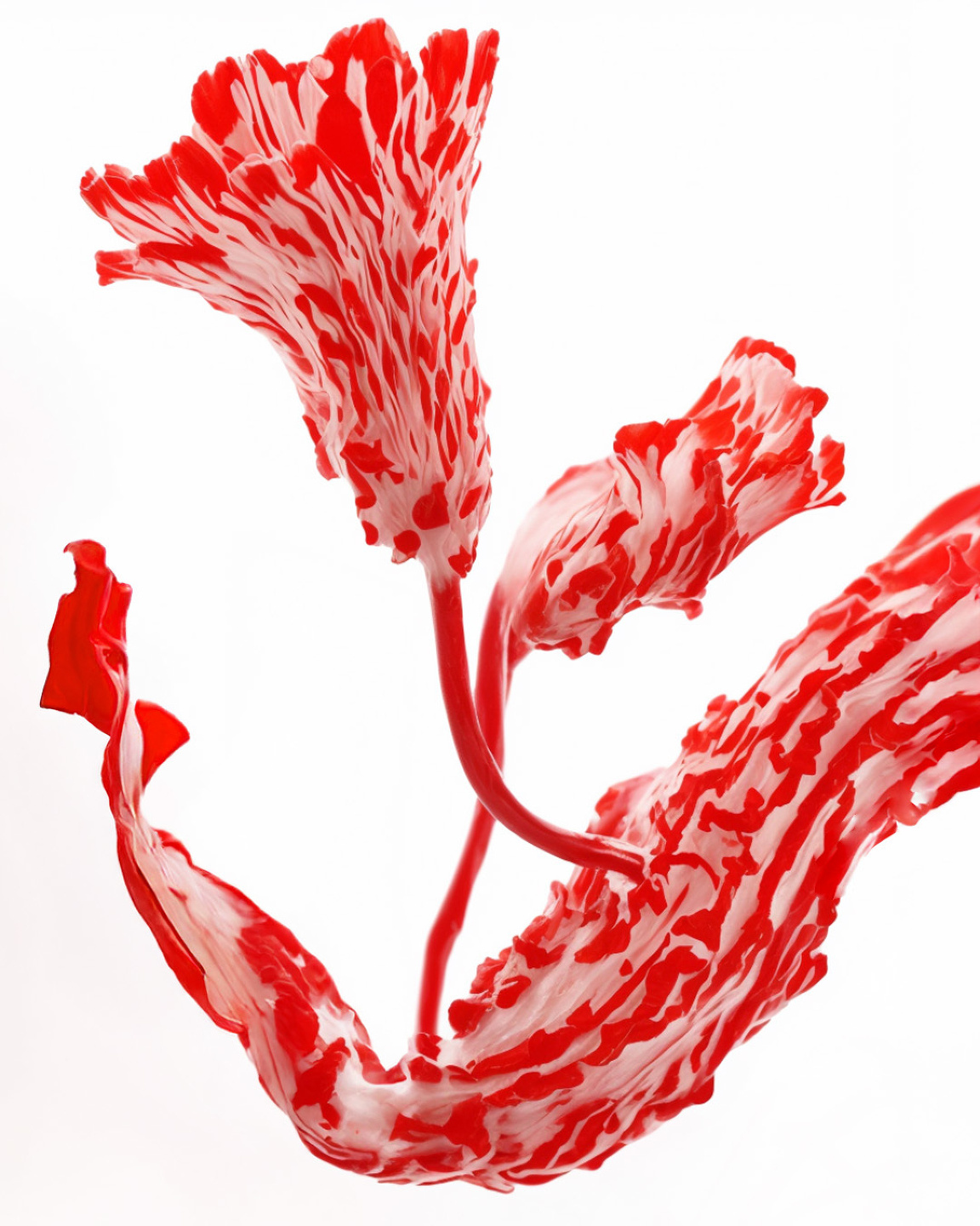 MCAS, Red Coral Flowers