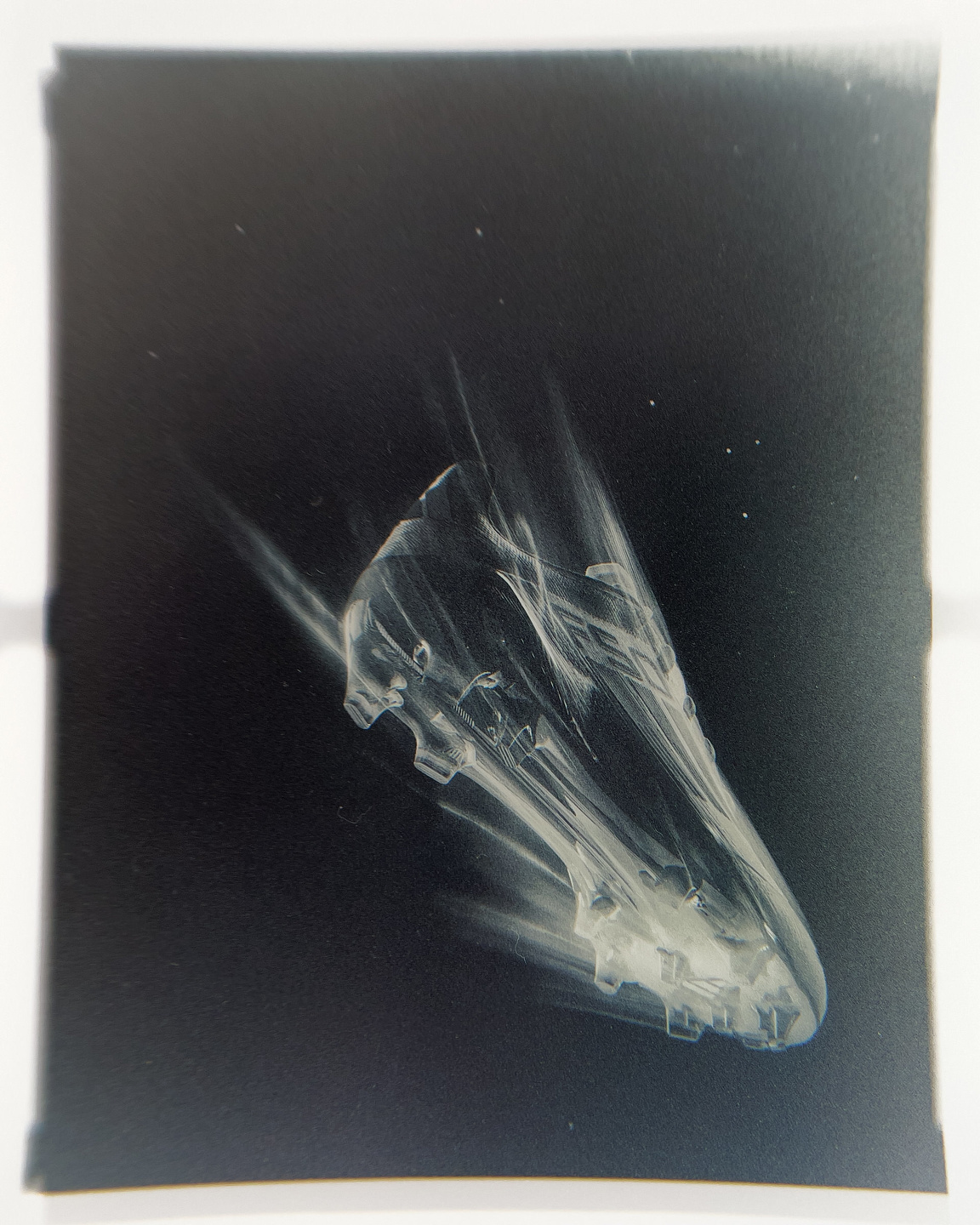 Qiu Yang, Adidas Brand Expression