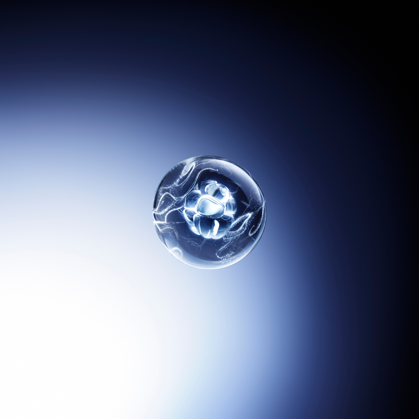 Anti Studio, Lancôme Génifique