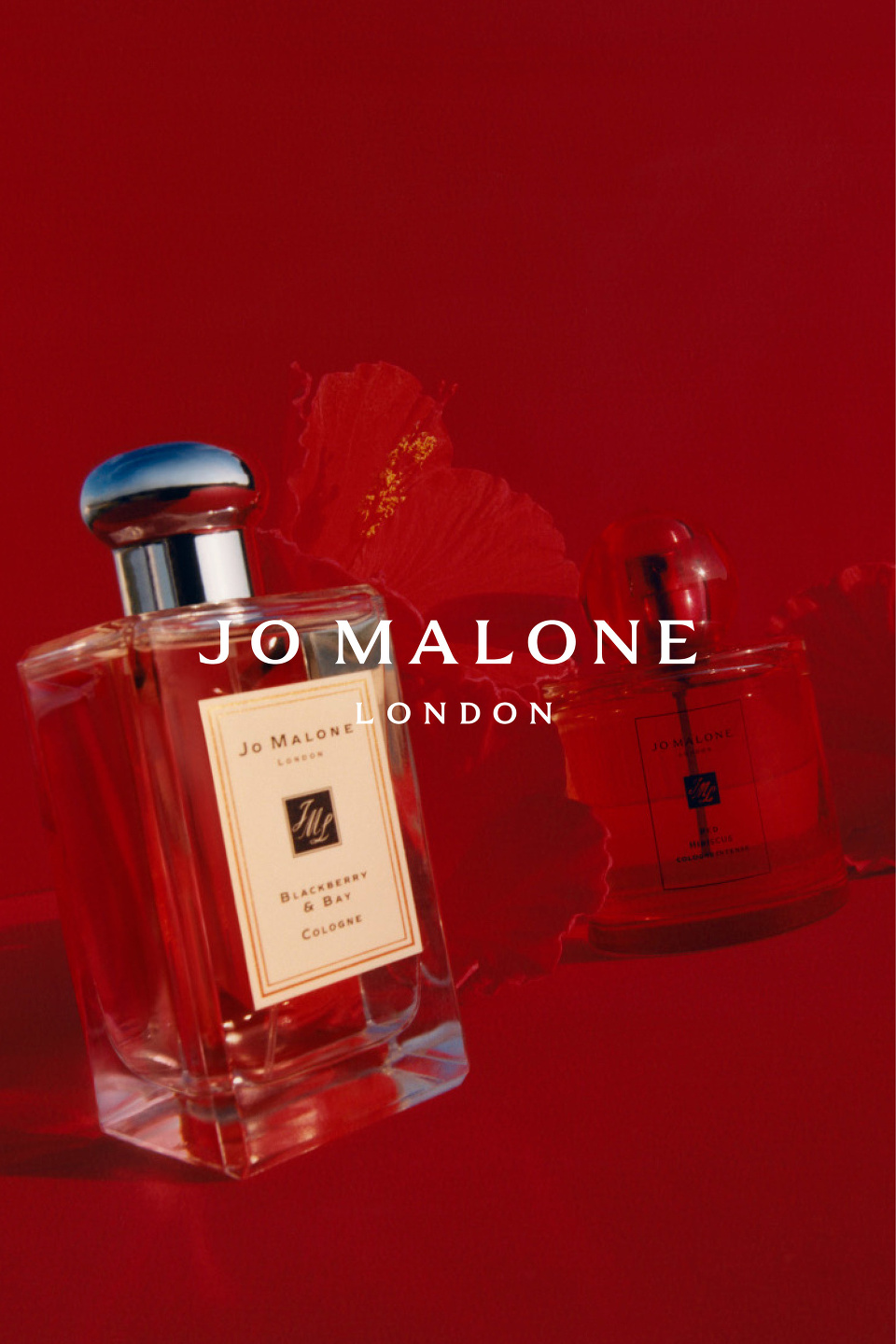 Samuel Bradley, Beauty