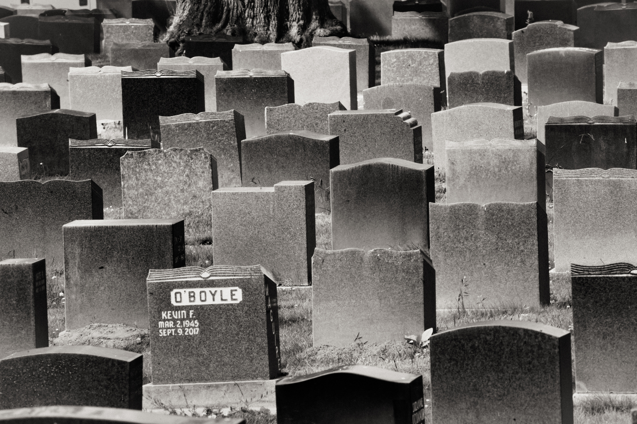 Mark Mahaney, Document Journal, Death Town