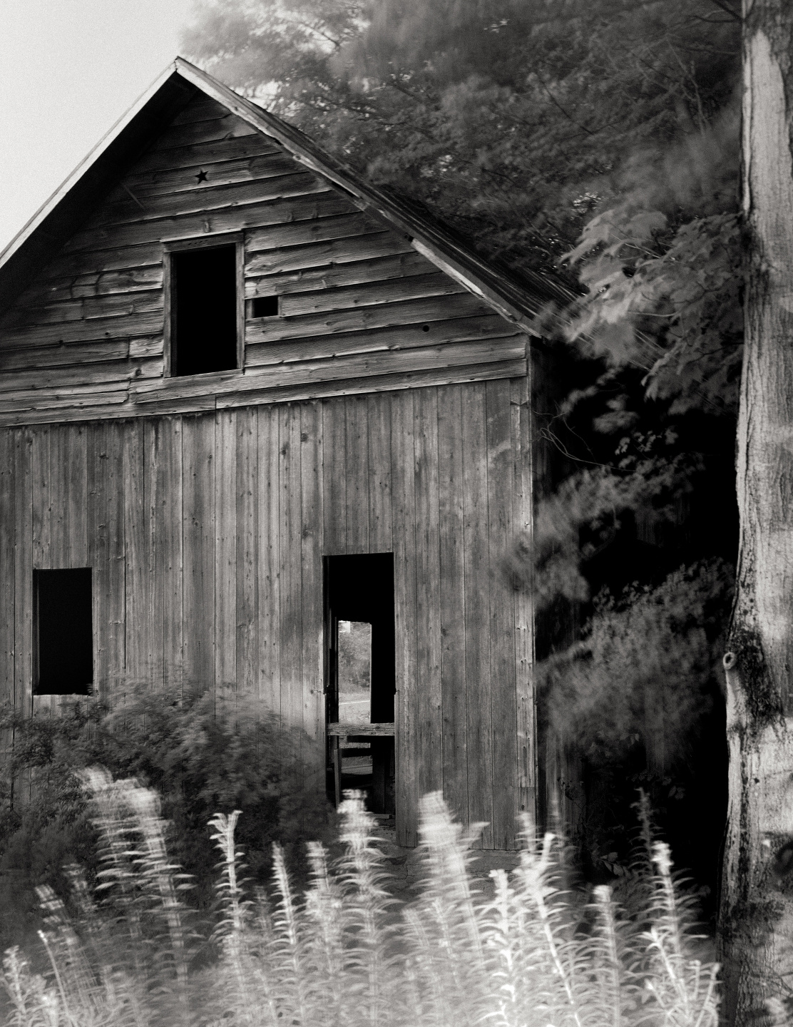 Introducing Mark Mahaney