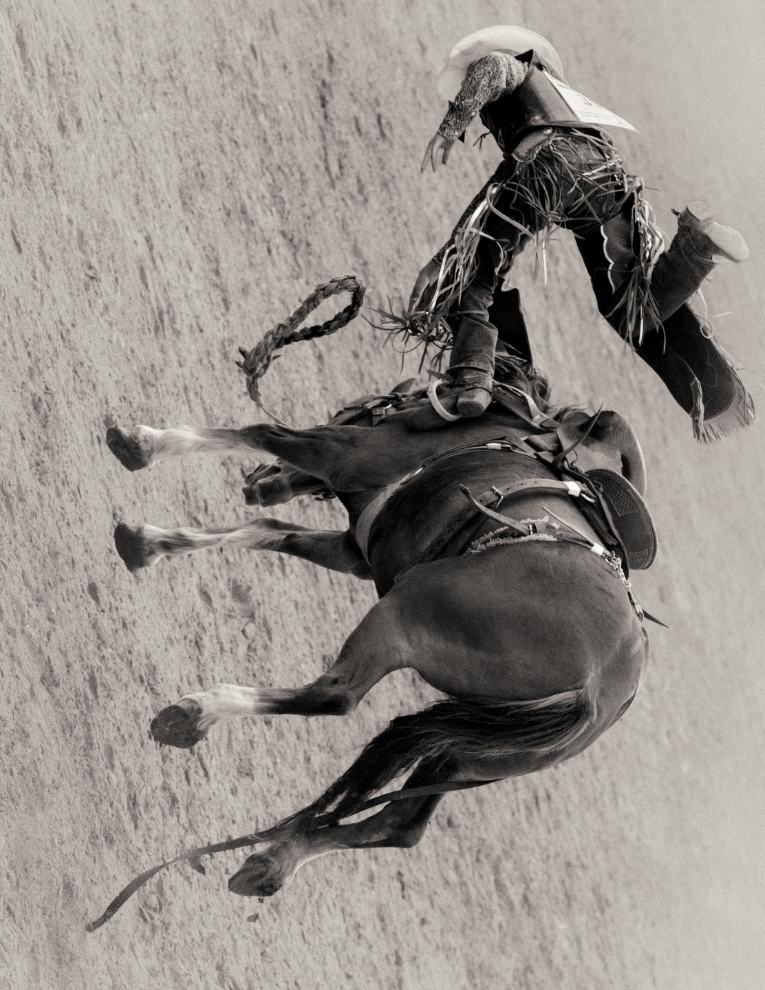 Introducing Mark Mahaney