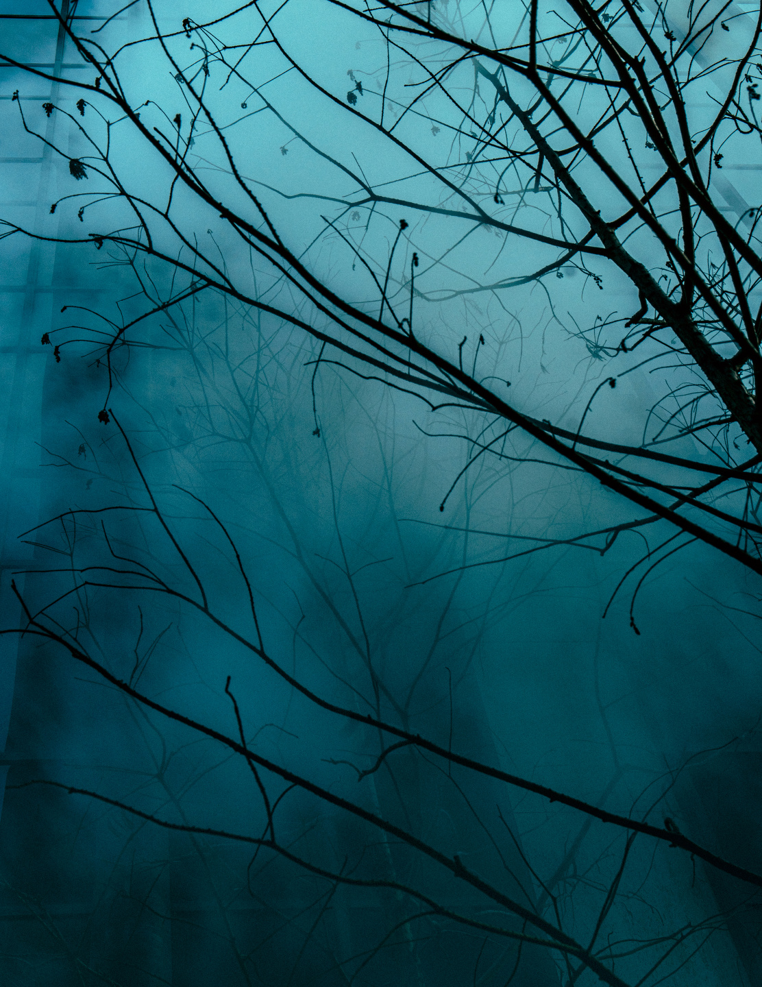 Samuel Bradley, Sixteen – They Named It Twice (NYC cinema)