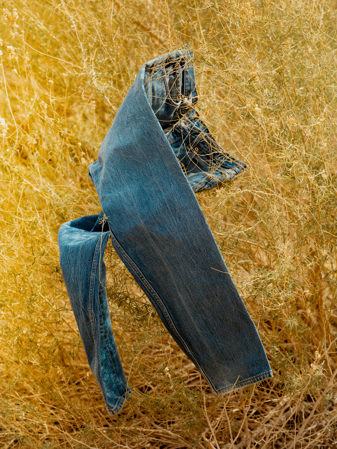 Mark Mahaney, Levi’s, Timeless
