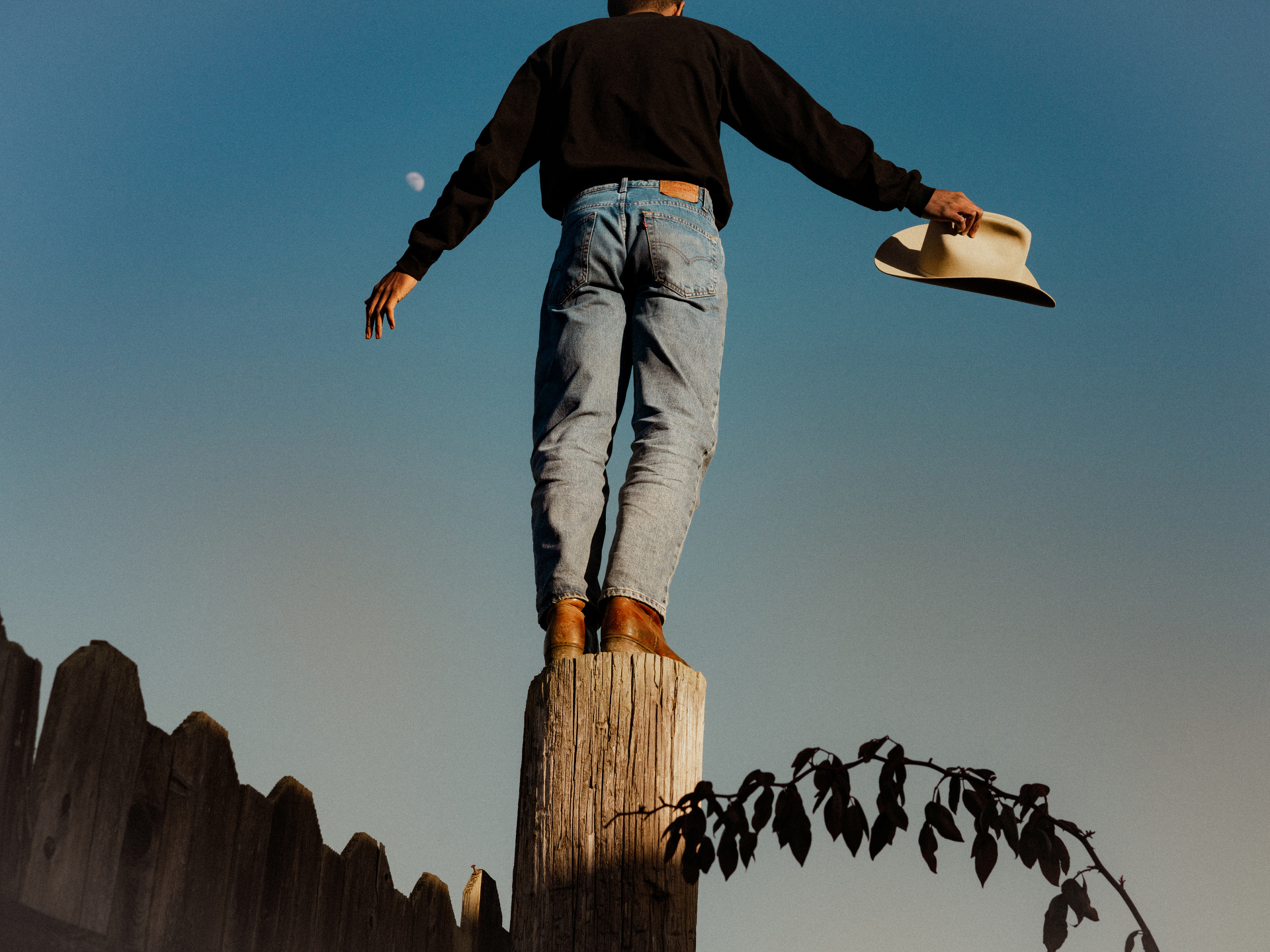 Mark Mahaney, Levi’s, Timeless