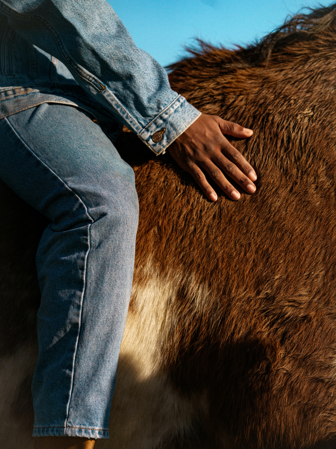 Mark Mahaney, Levi’s, Timeless