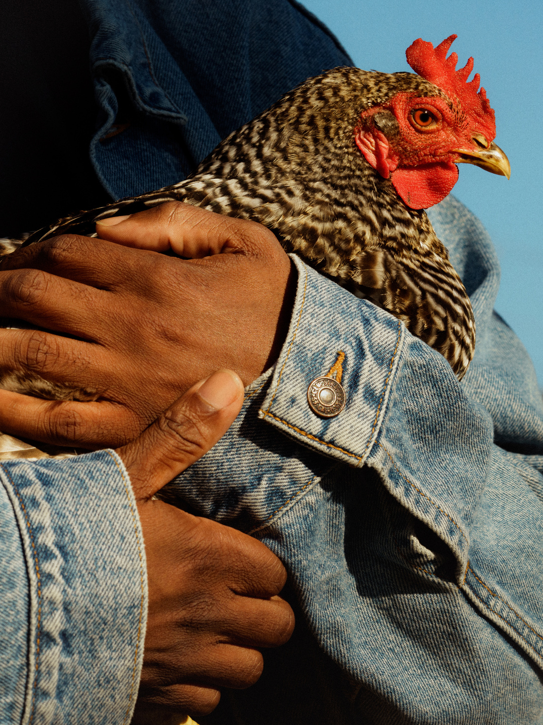Mark Mahaney, Levi’s, Timeless