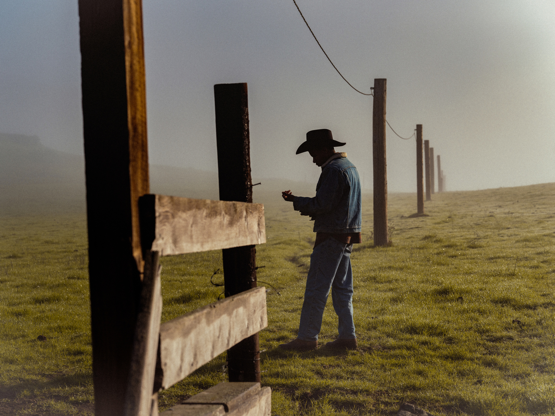 Mark Mahaney, Levi’s, Timeless