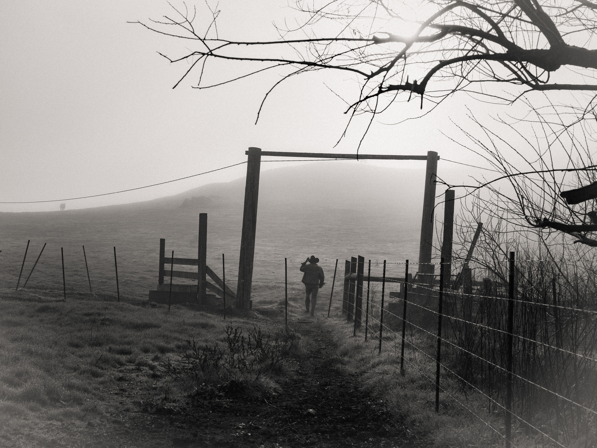 Introducing Mark Mahaney