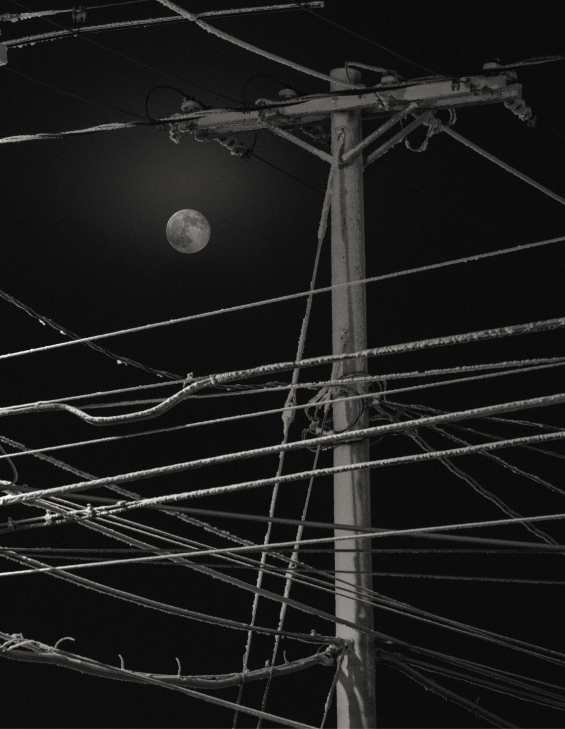 Mark Mahaney, Polar Night
