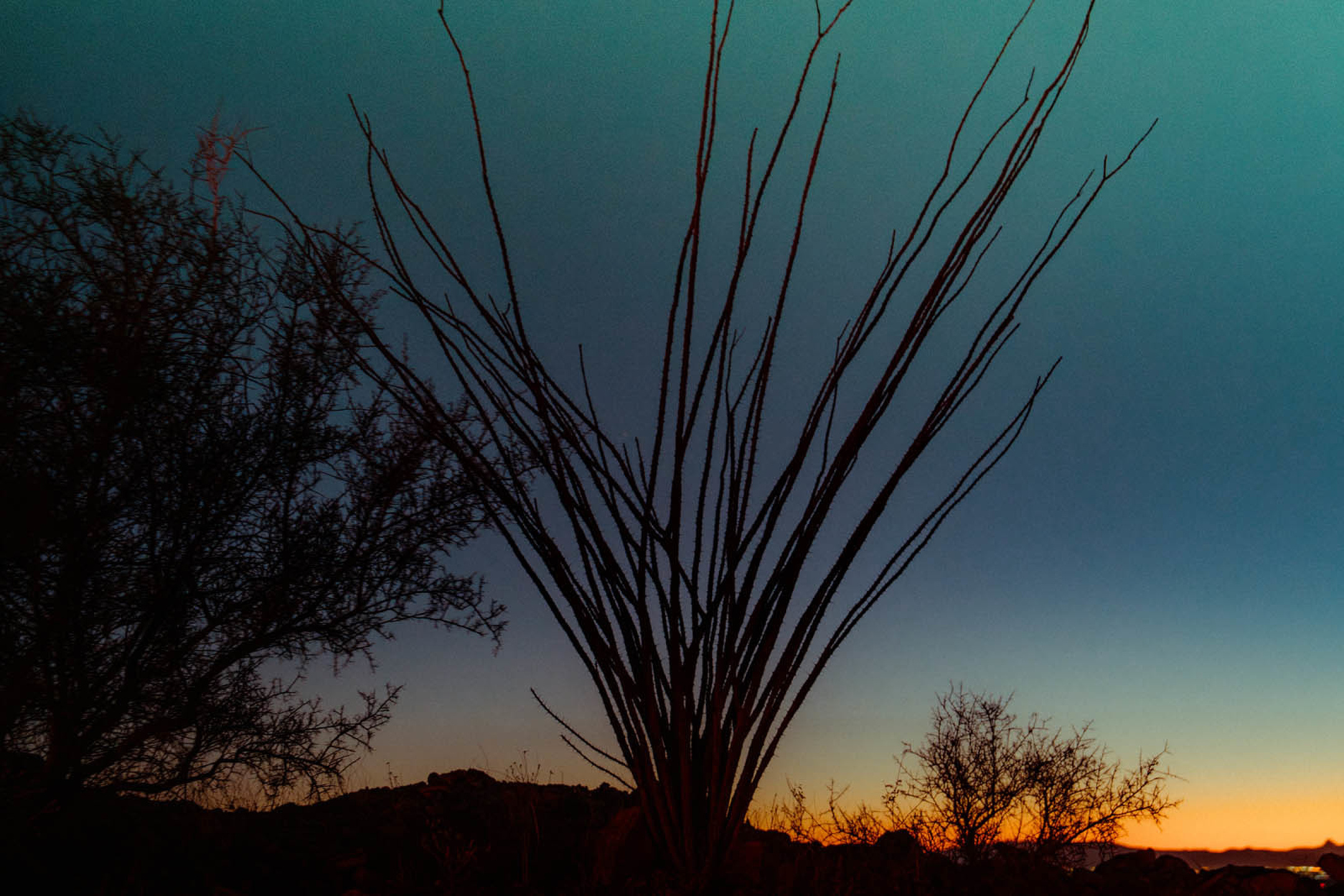 Mark Mahaney, Rapha S/S 25, A Land of Copper and Promise