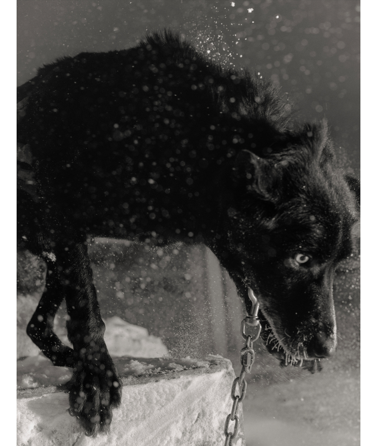 Introducing Mark Mahaney