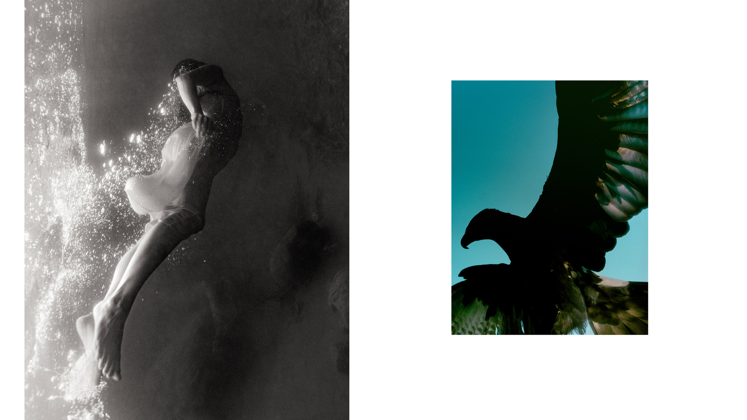 Introducing Mark Mahaney