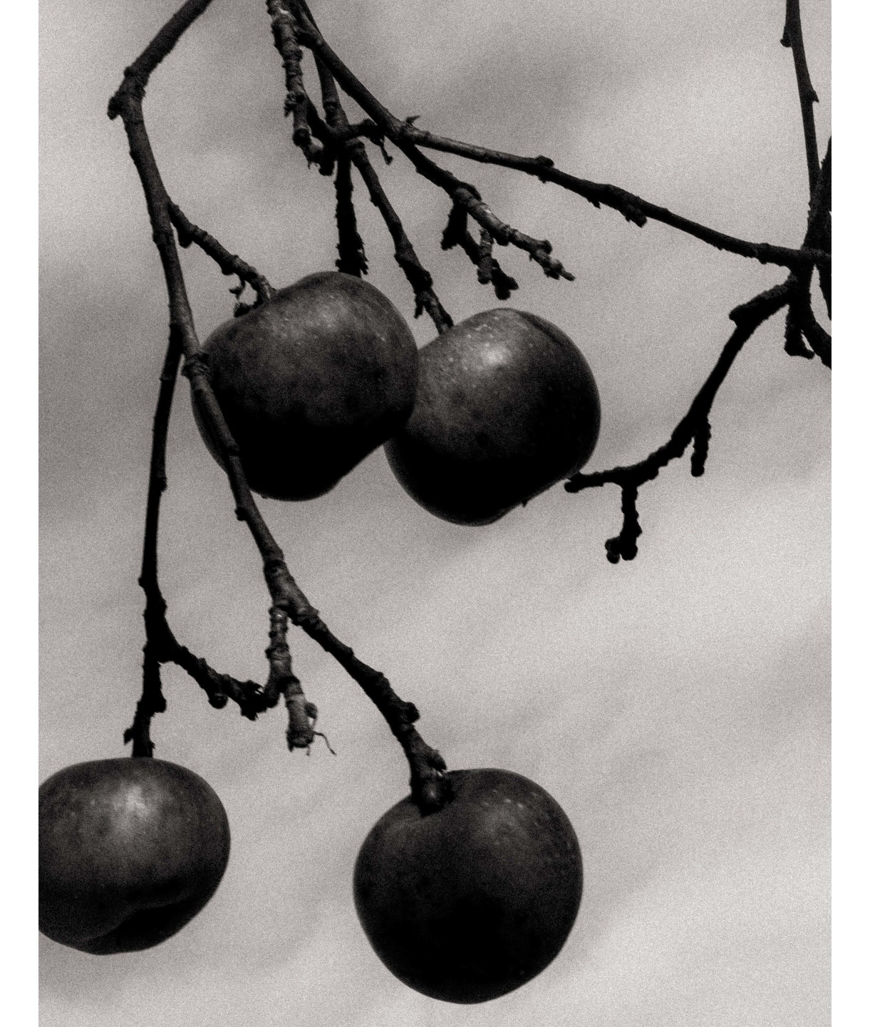 Introducing Mark Mahaney