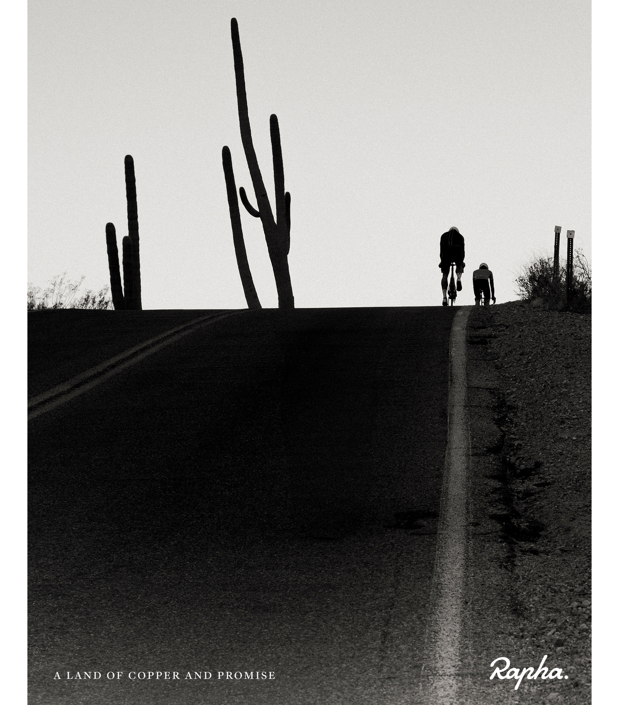 Introducing Mark Mahaney