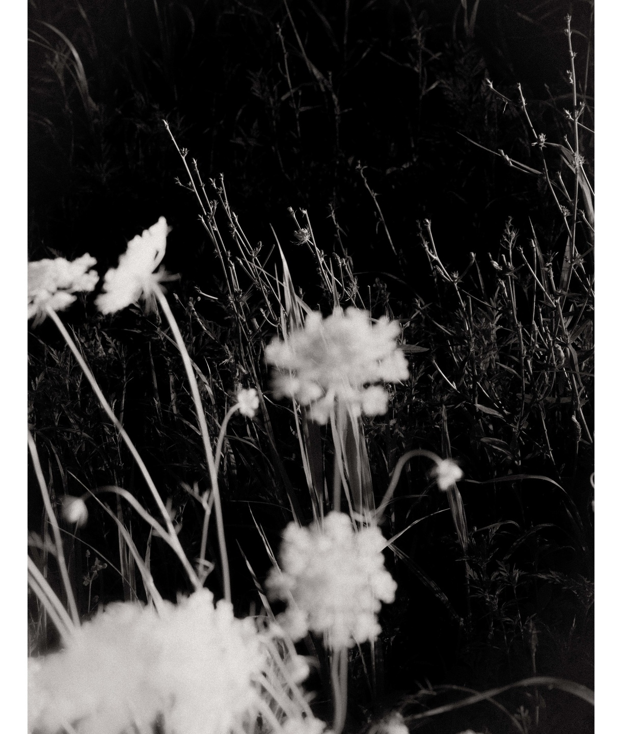 Introducing Mark Mahaney