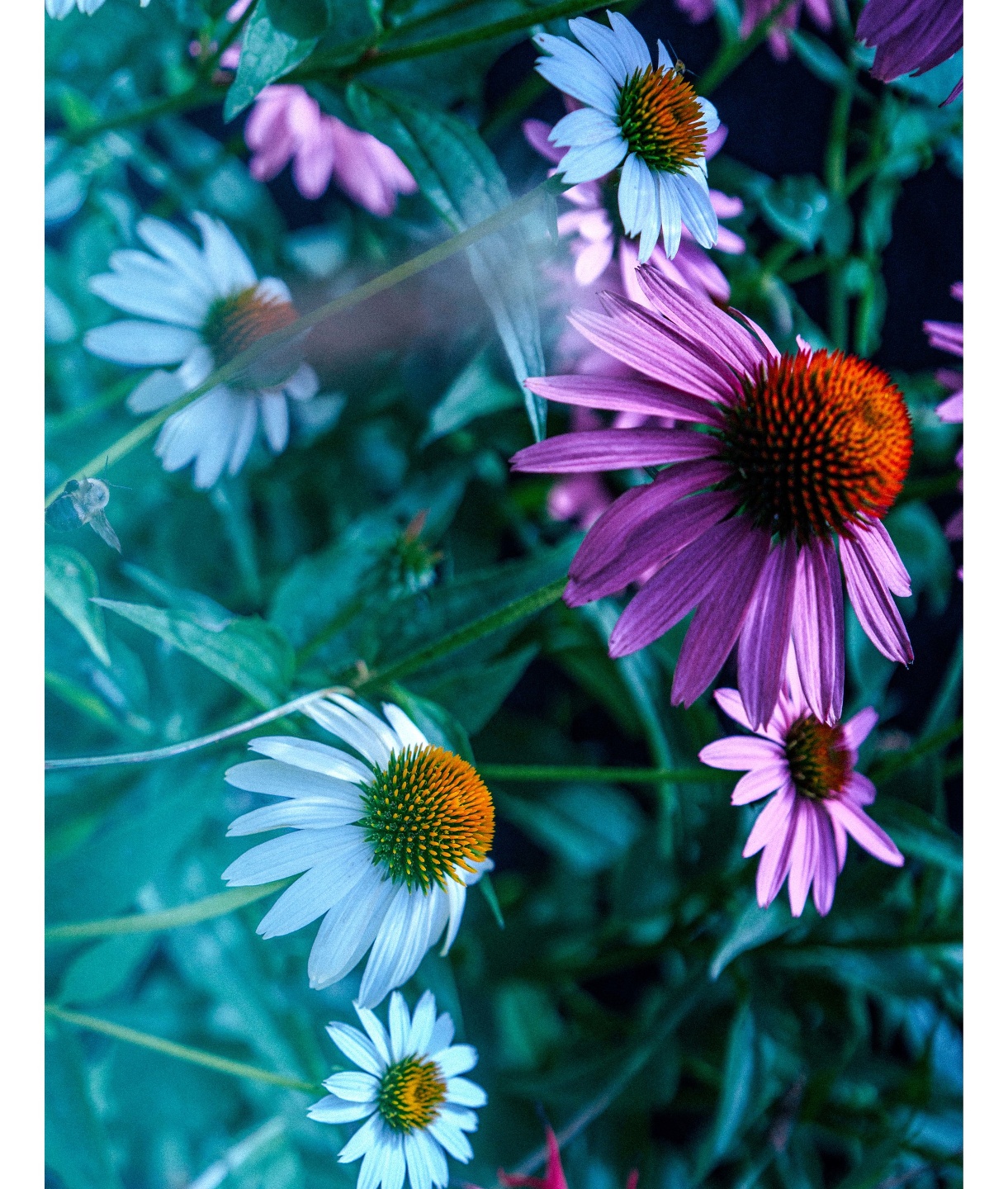 Introducing Mark Mahaney