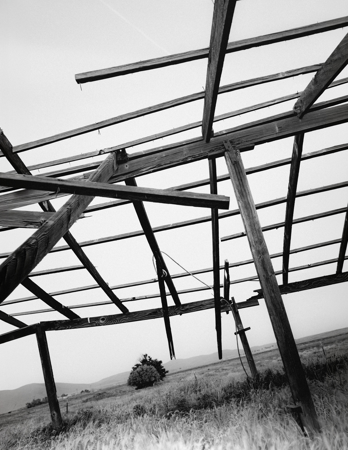 Mark Mahaney, Venna for Present Space