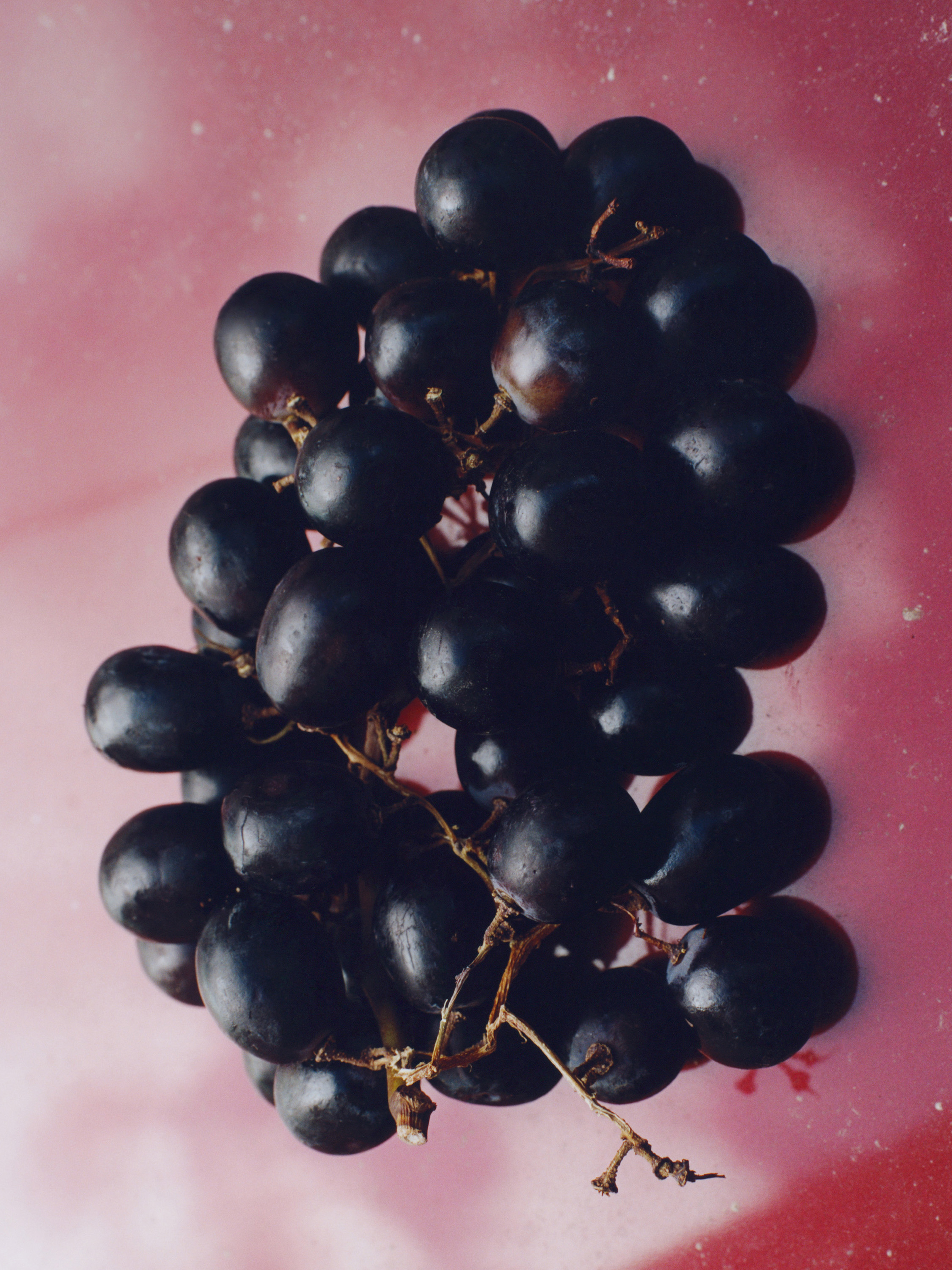 Arket Global Campaign