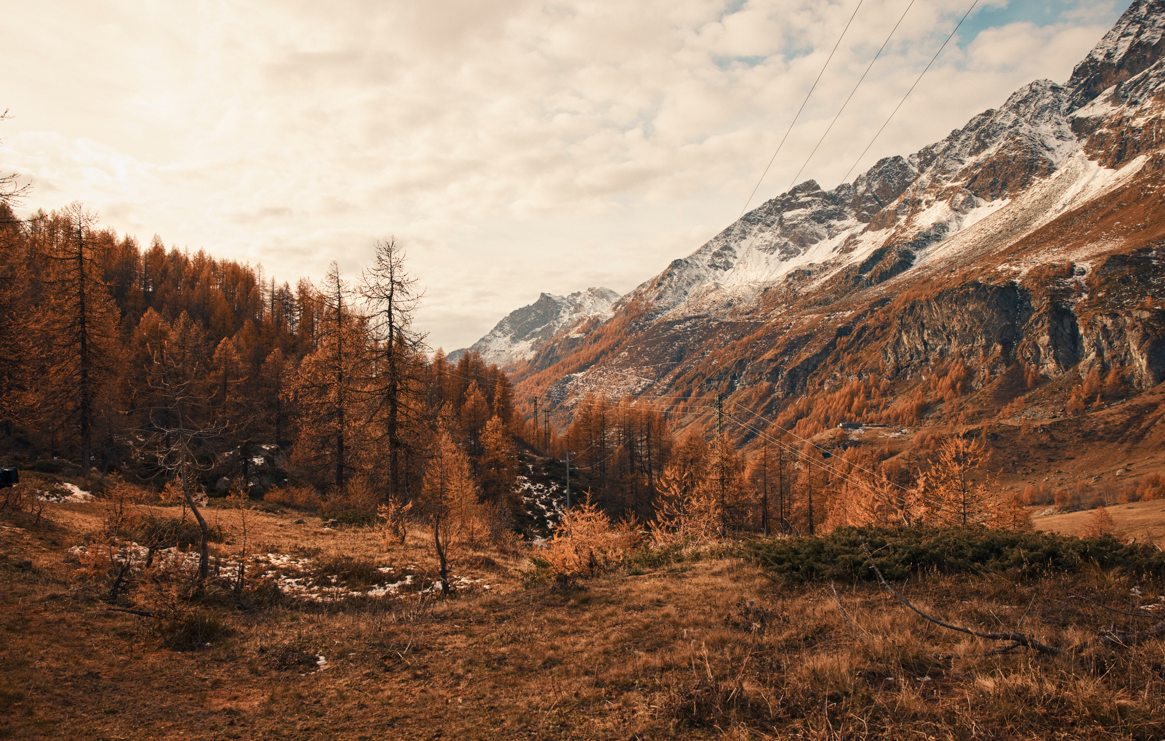 Searching For Italy
