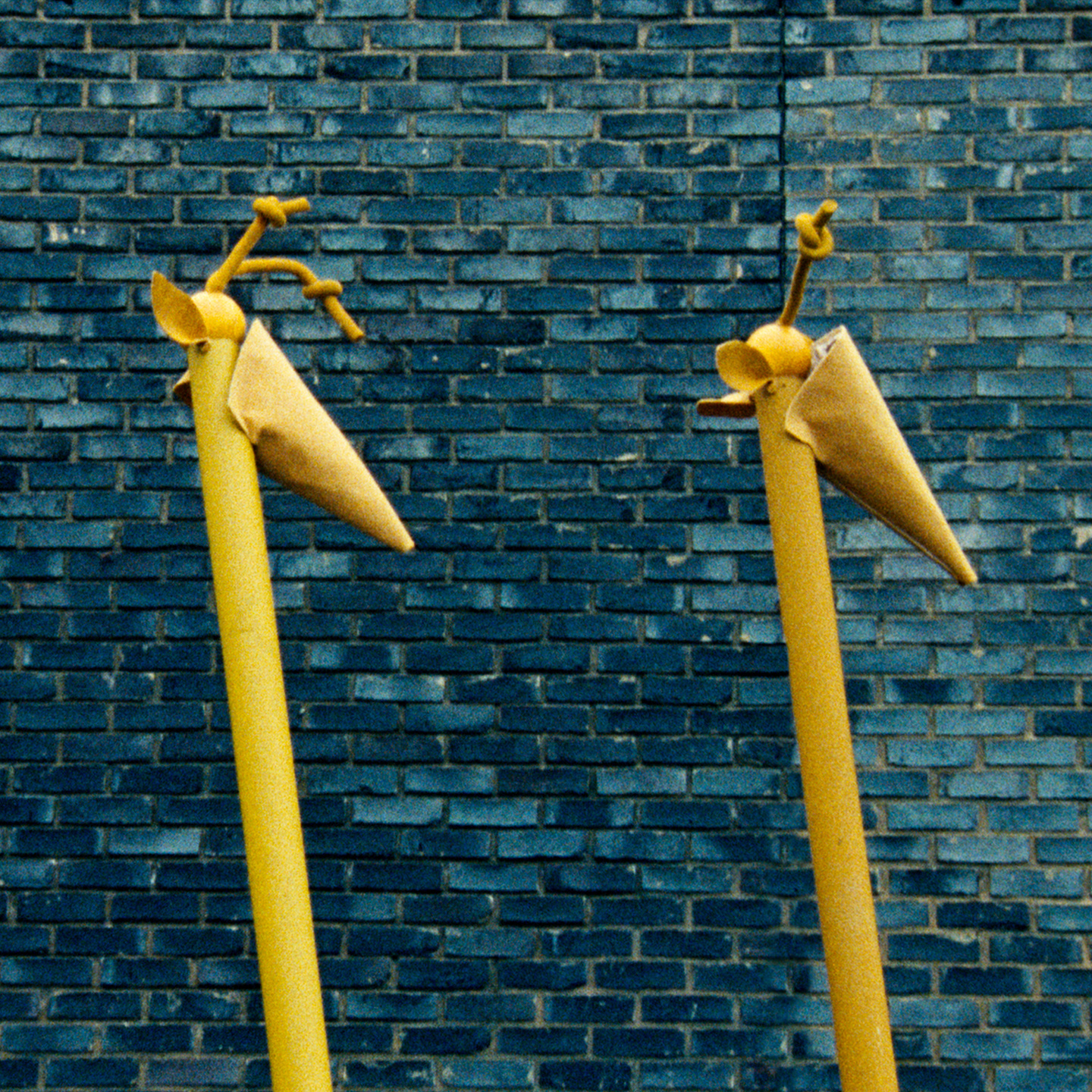 A is for Ant: Book, Short Film & Exhibition with Jack Davidson