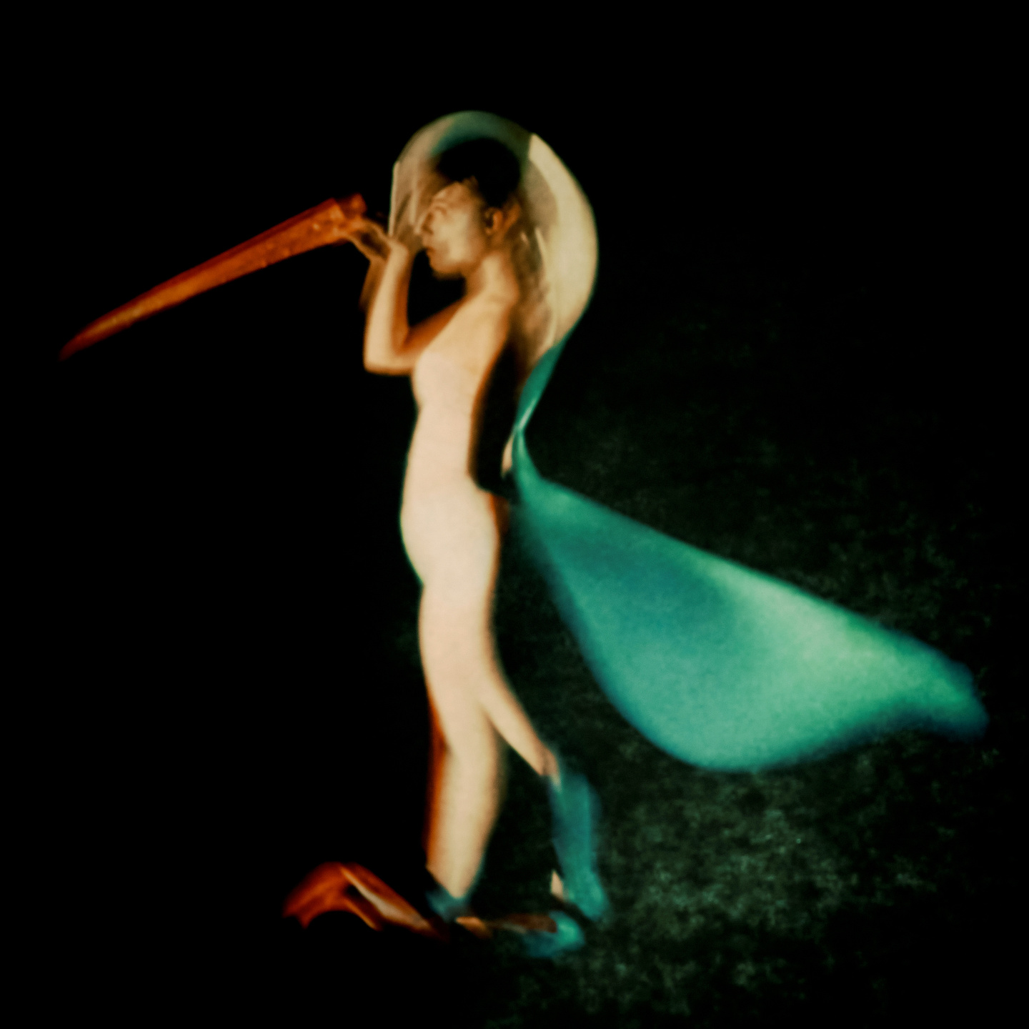 A is for Ant: Book, Short Film & Exhibition with Jack Davidson