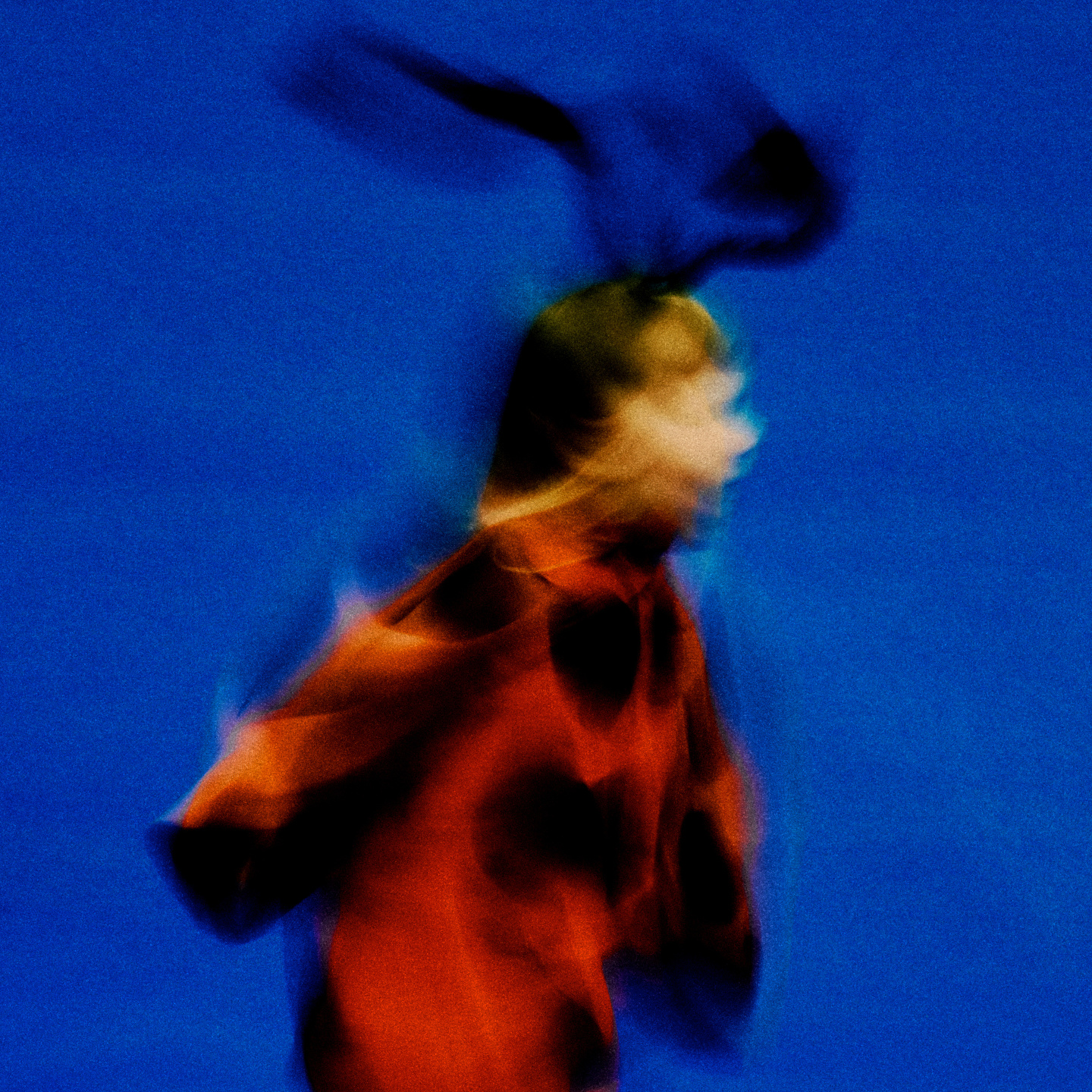 A is for Ant: Book, Short Film & Exhibition with Jack Davidson