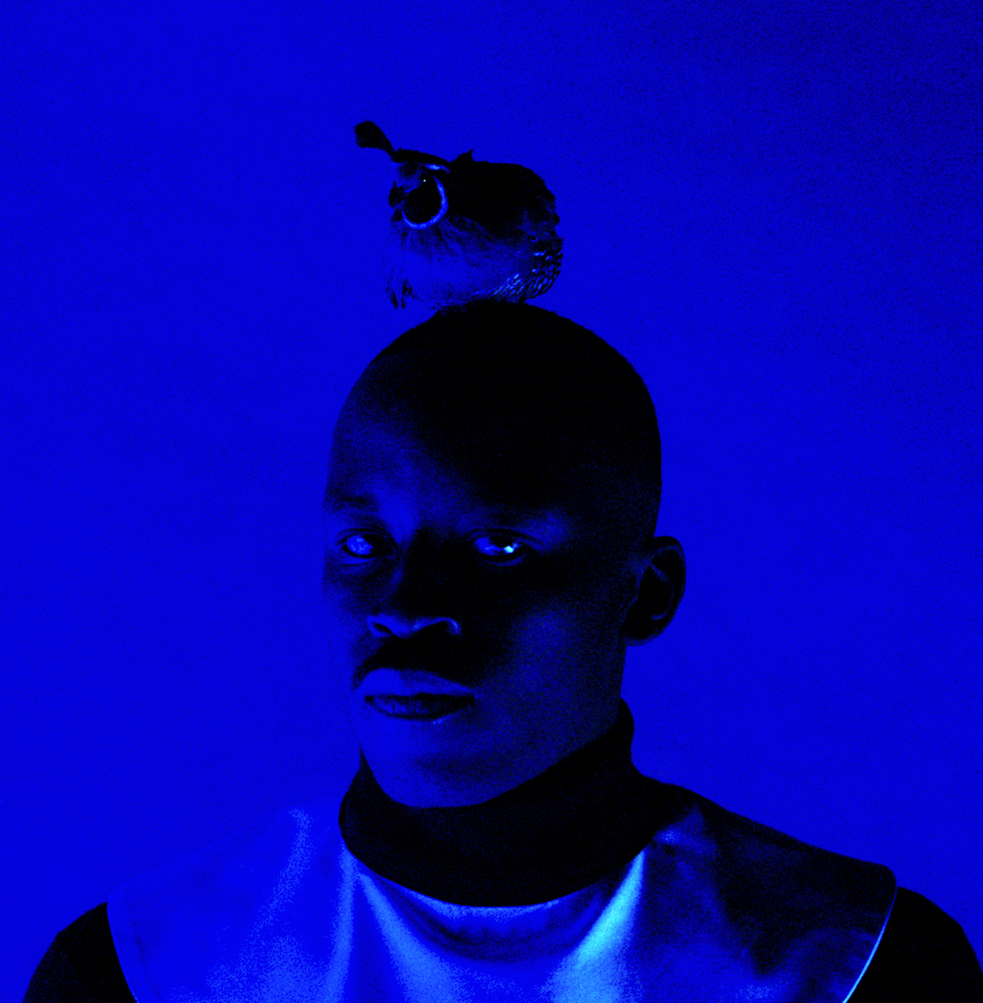 A is for Ant: short film, book and exhibition with Jack Davidson