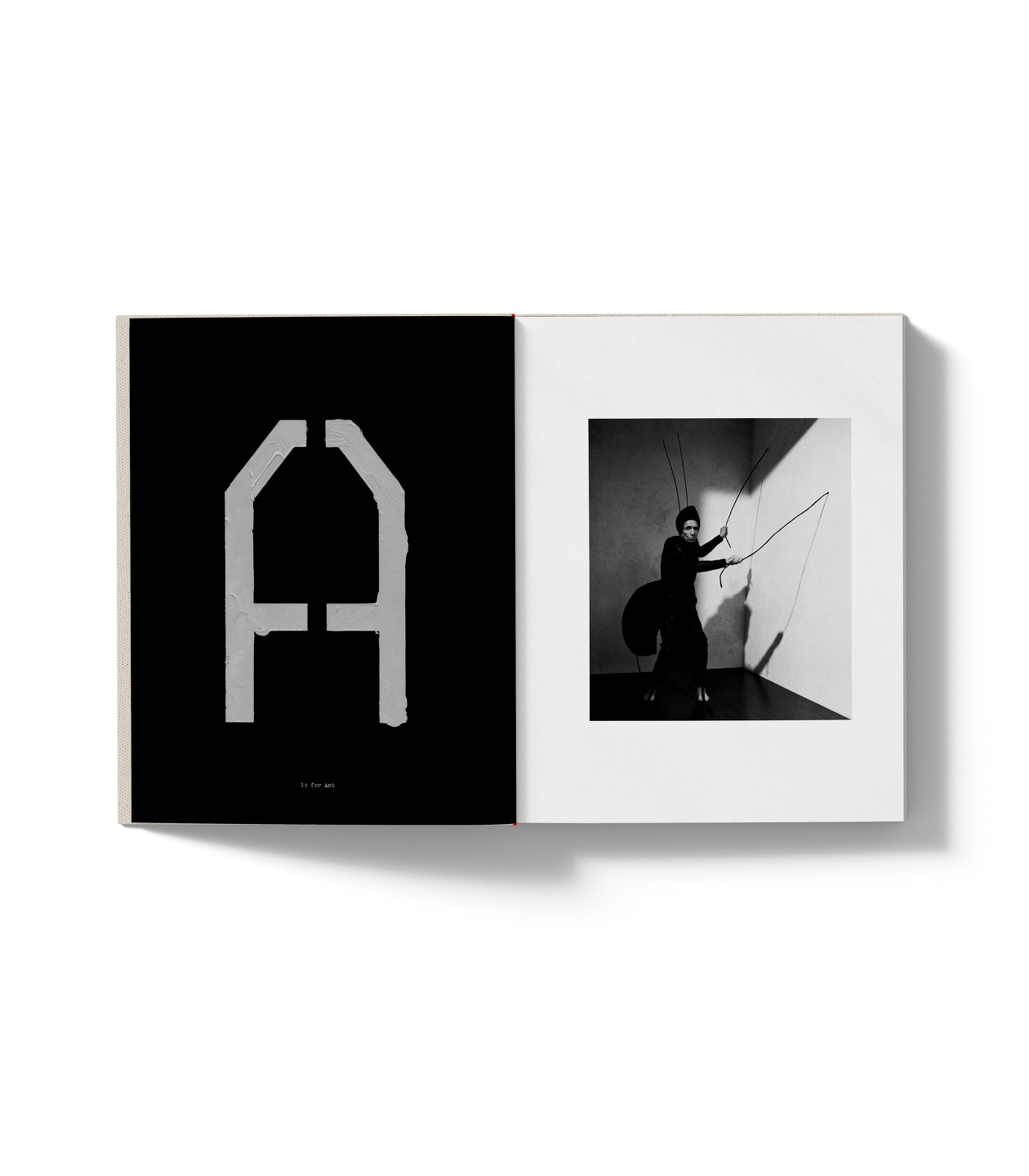 A is for Ant: Book, Short Film & Exhibition with Jack Davidson