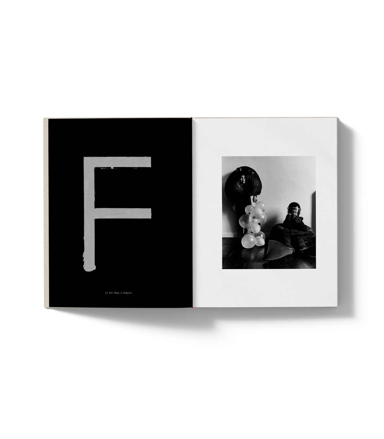 A is for Ant: Book, Short Film & Exhibition with Jack Davidson